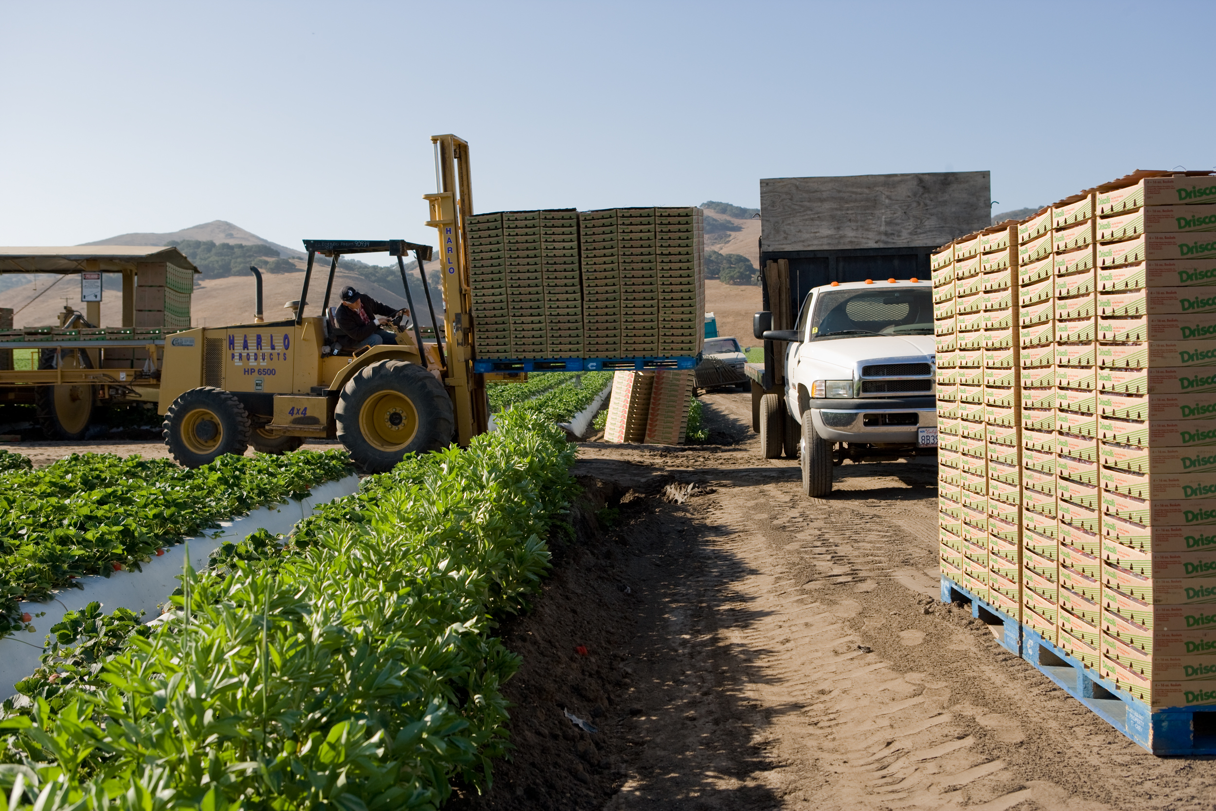 15_loading boxes_5694.jpg
