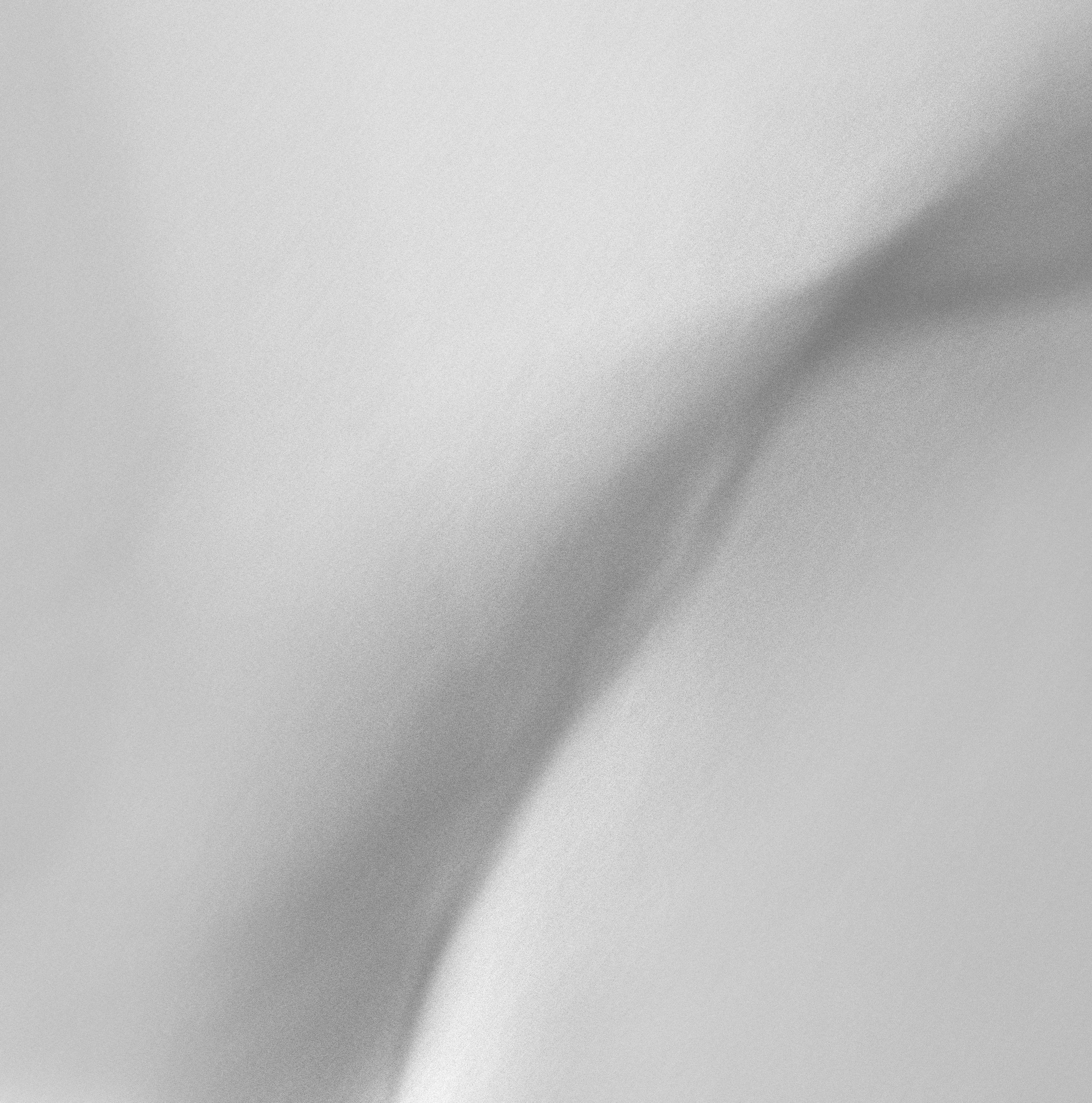T's Plant 6721 in white (11-2015) -2_BW.jpg