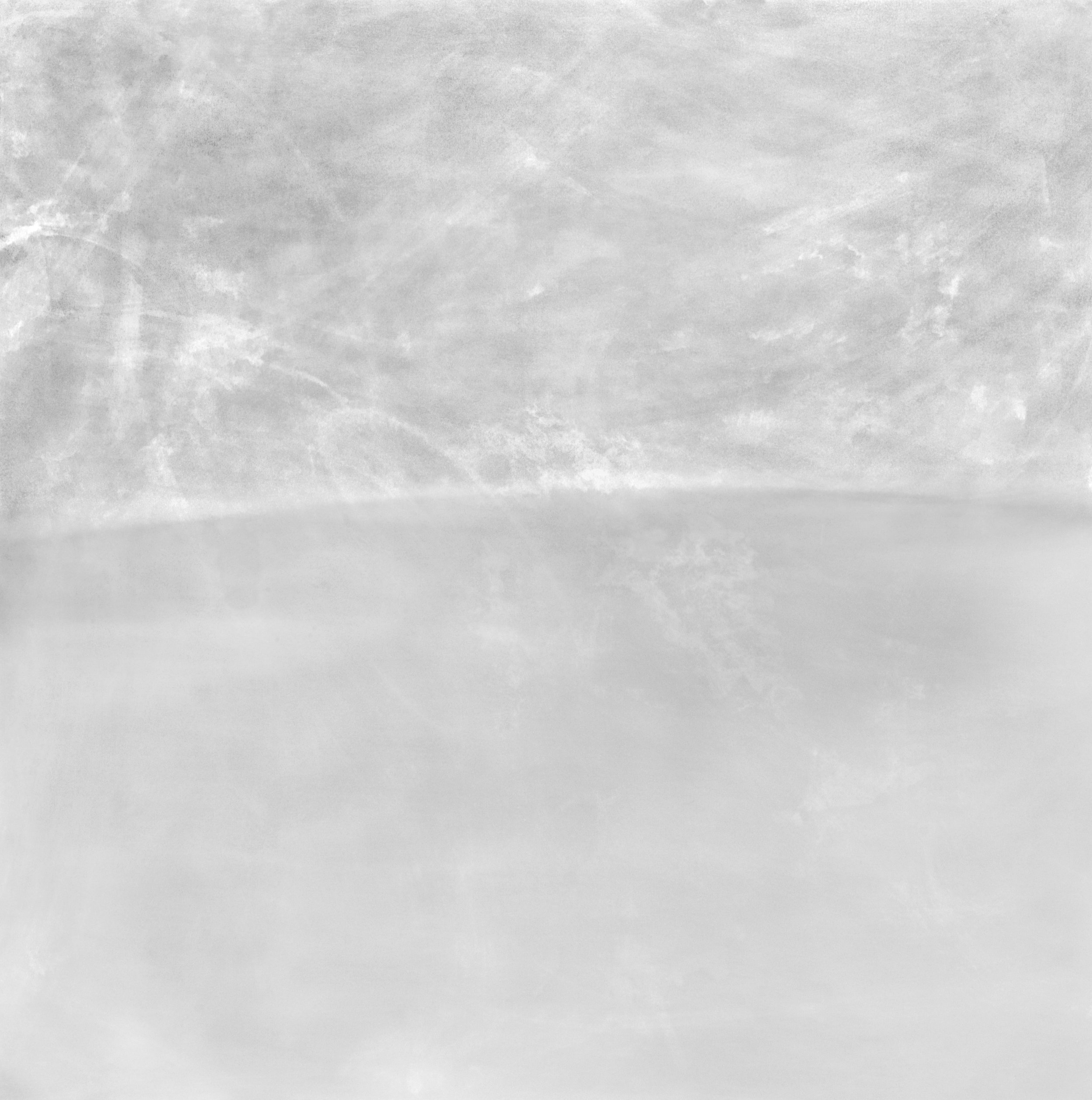 T's plant 9582 (11-2015)-2_BW.jpg