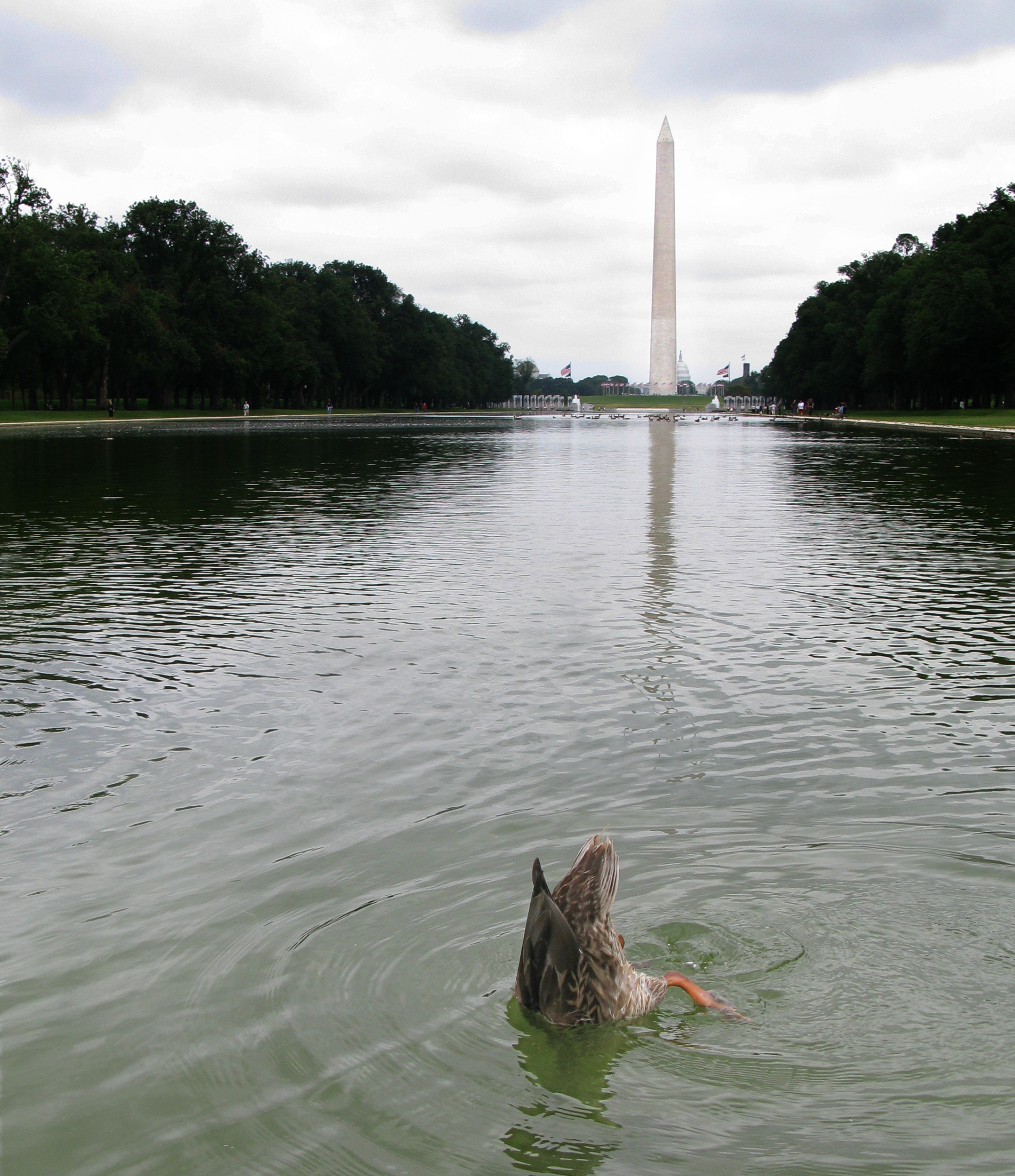 20-IMG_3193.jpg