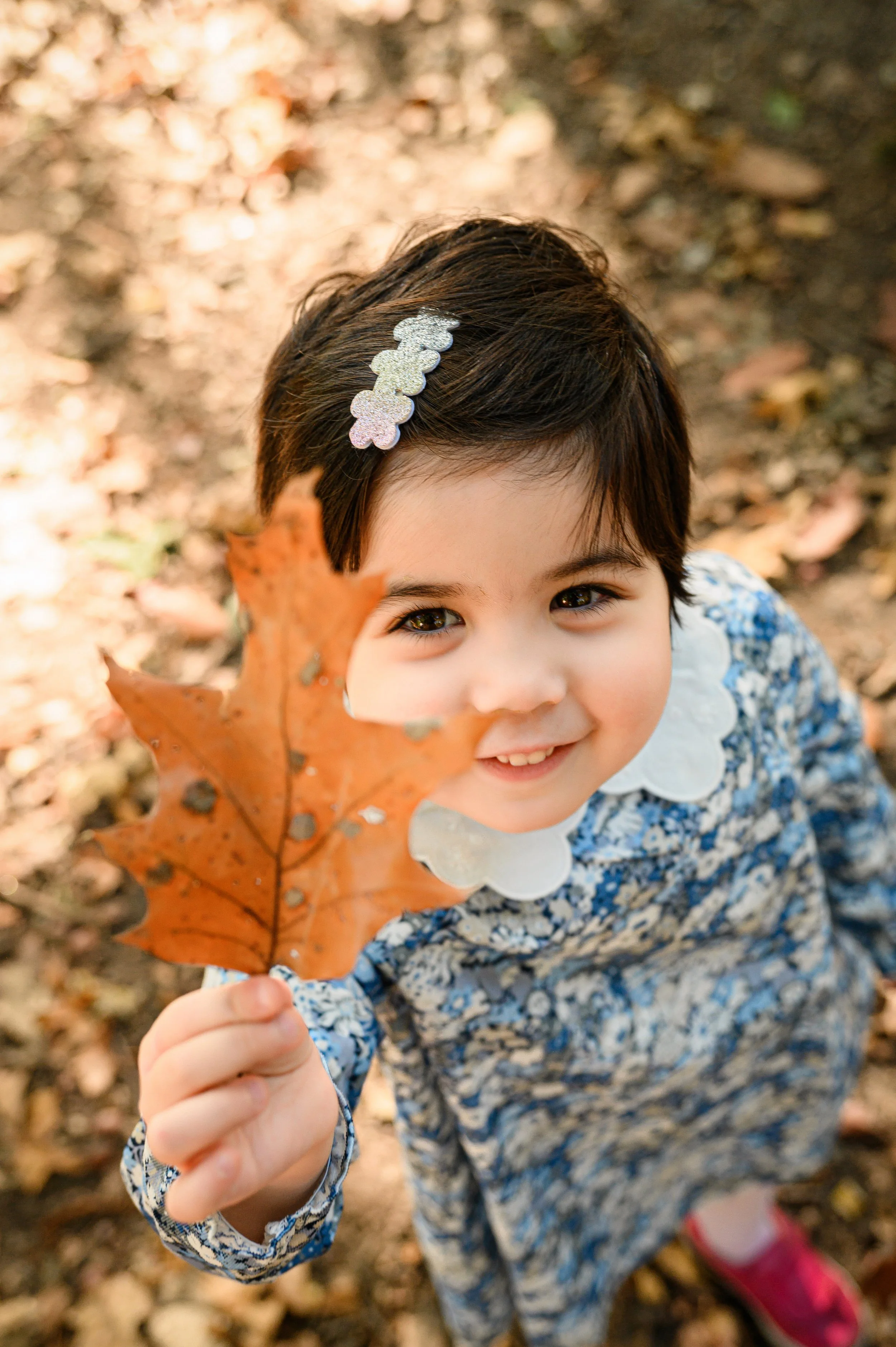 042 5.JPG