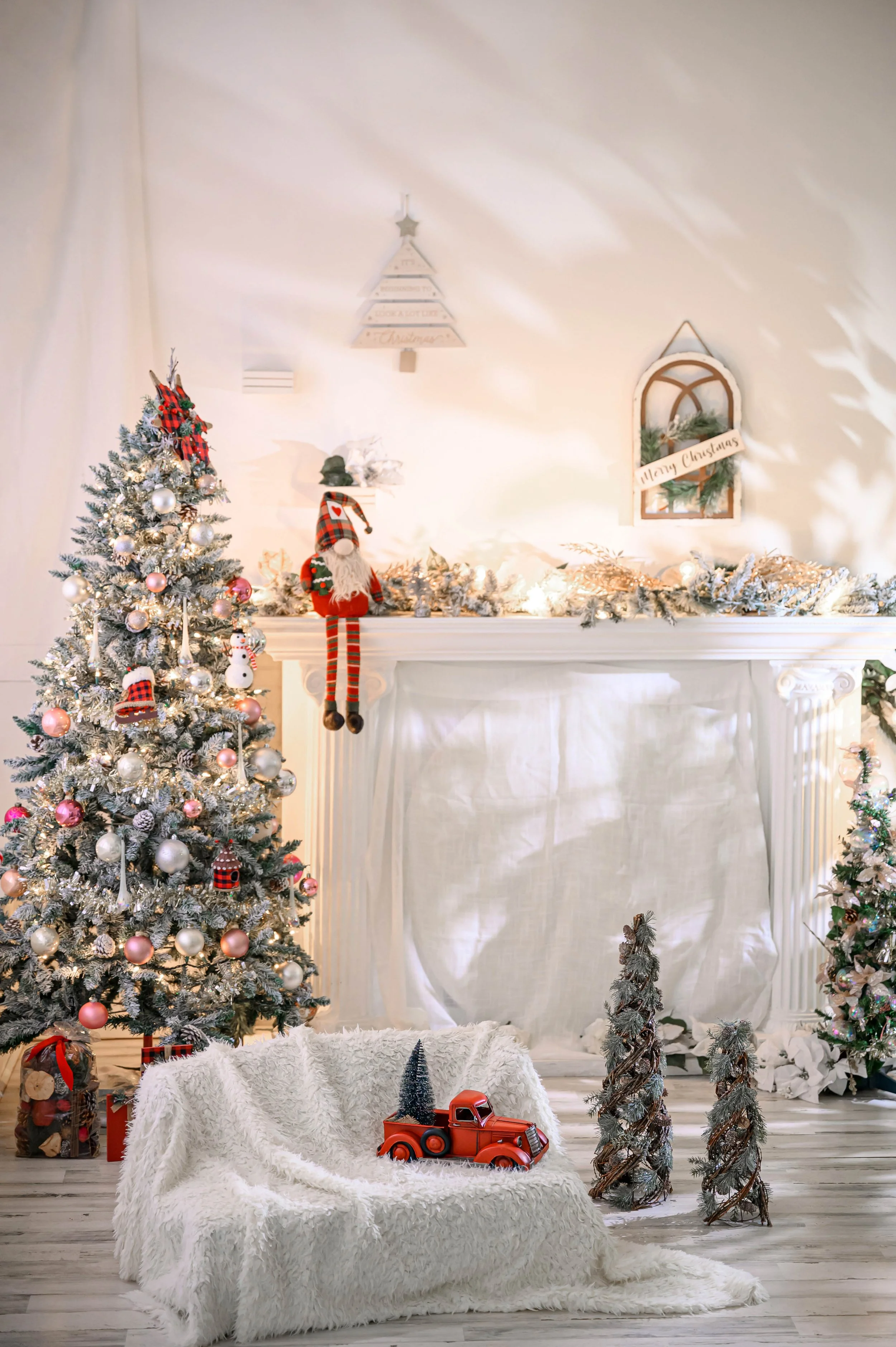 Christmas Mini Session 2025