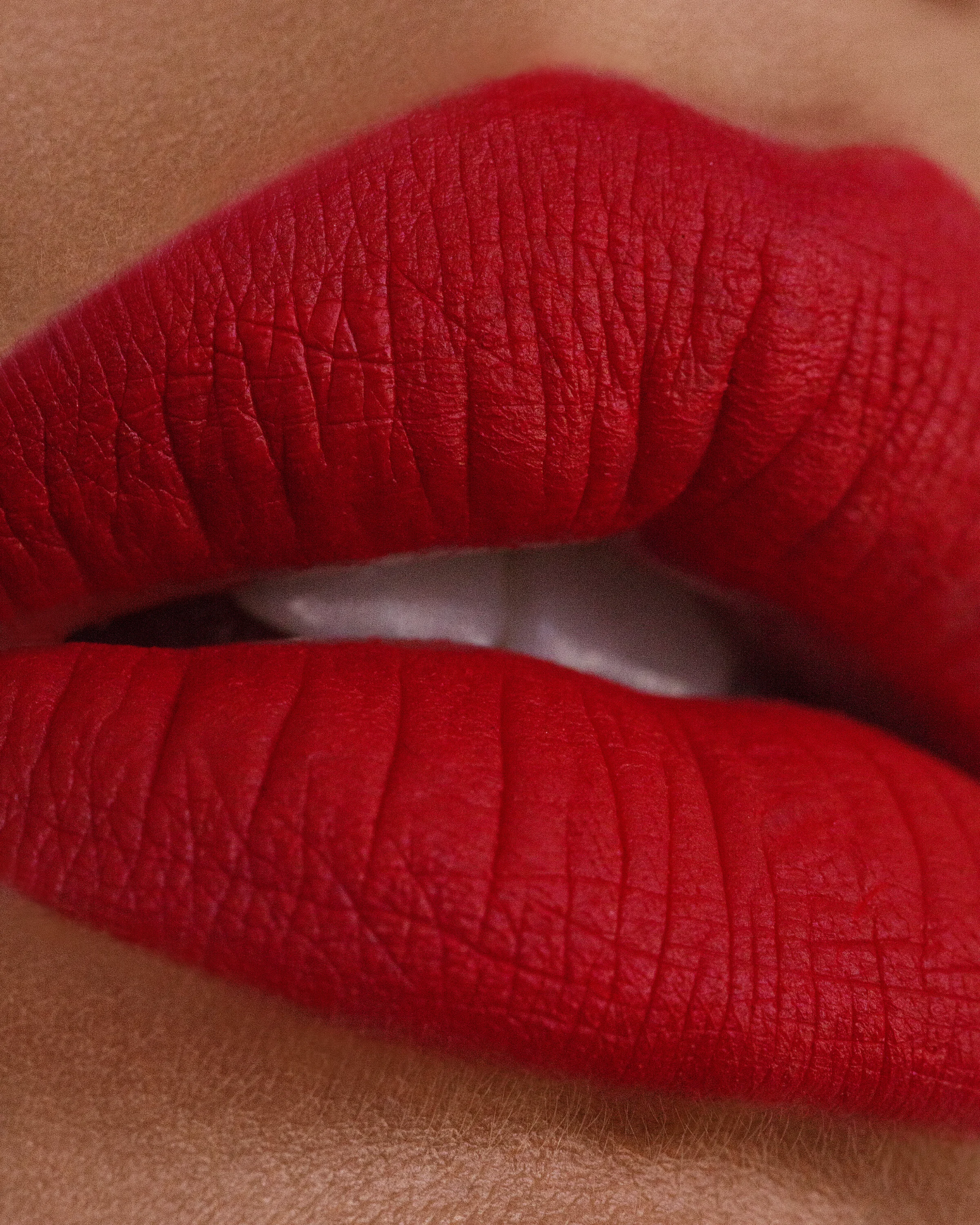 Michelle Monique Los Angeles beauty photographer, cosmetics, lipstick, matte, red, macro. Model: Camille Opp.