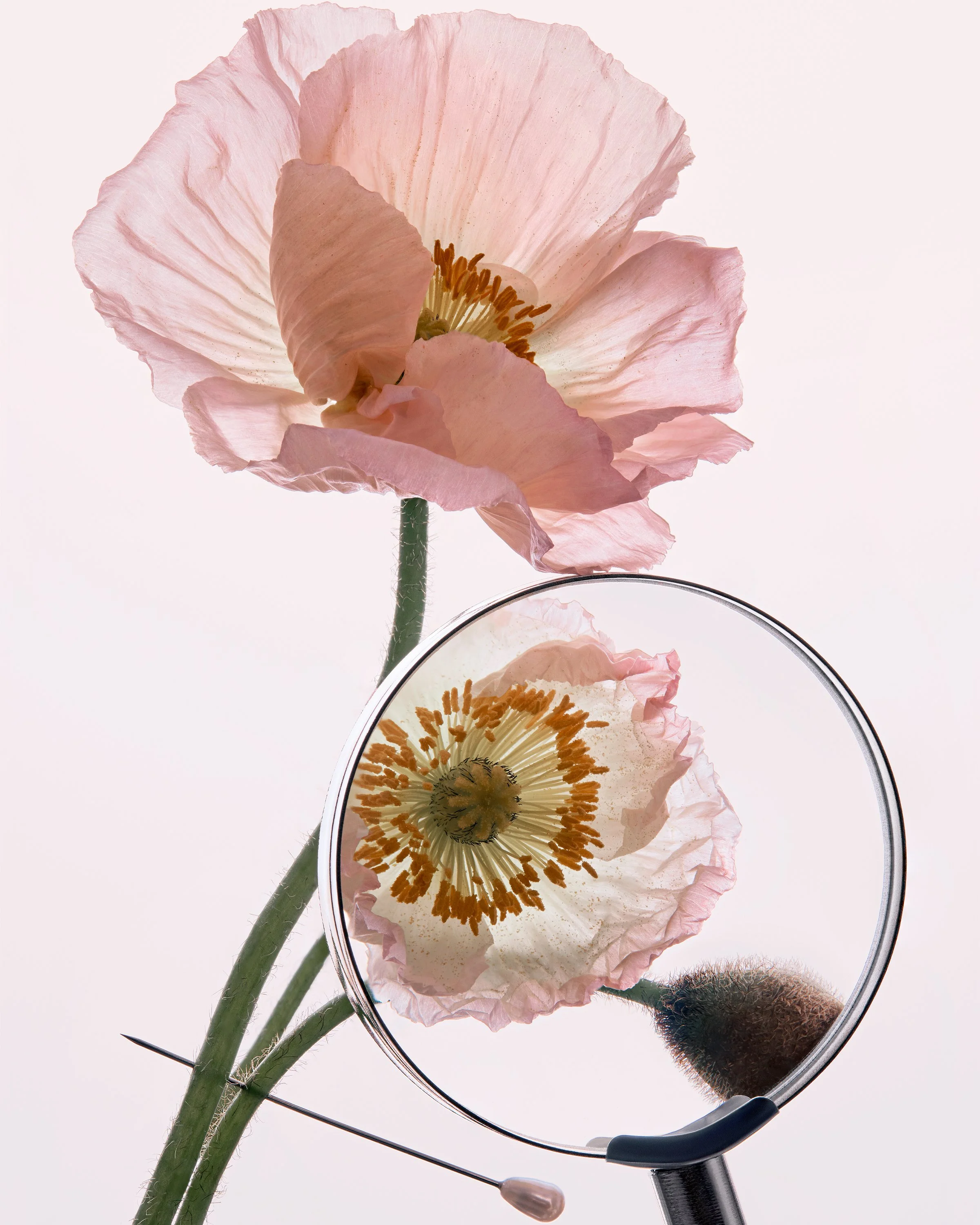 los-angeles-makeup-product-photographer-poppy