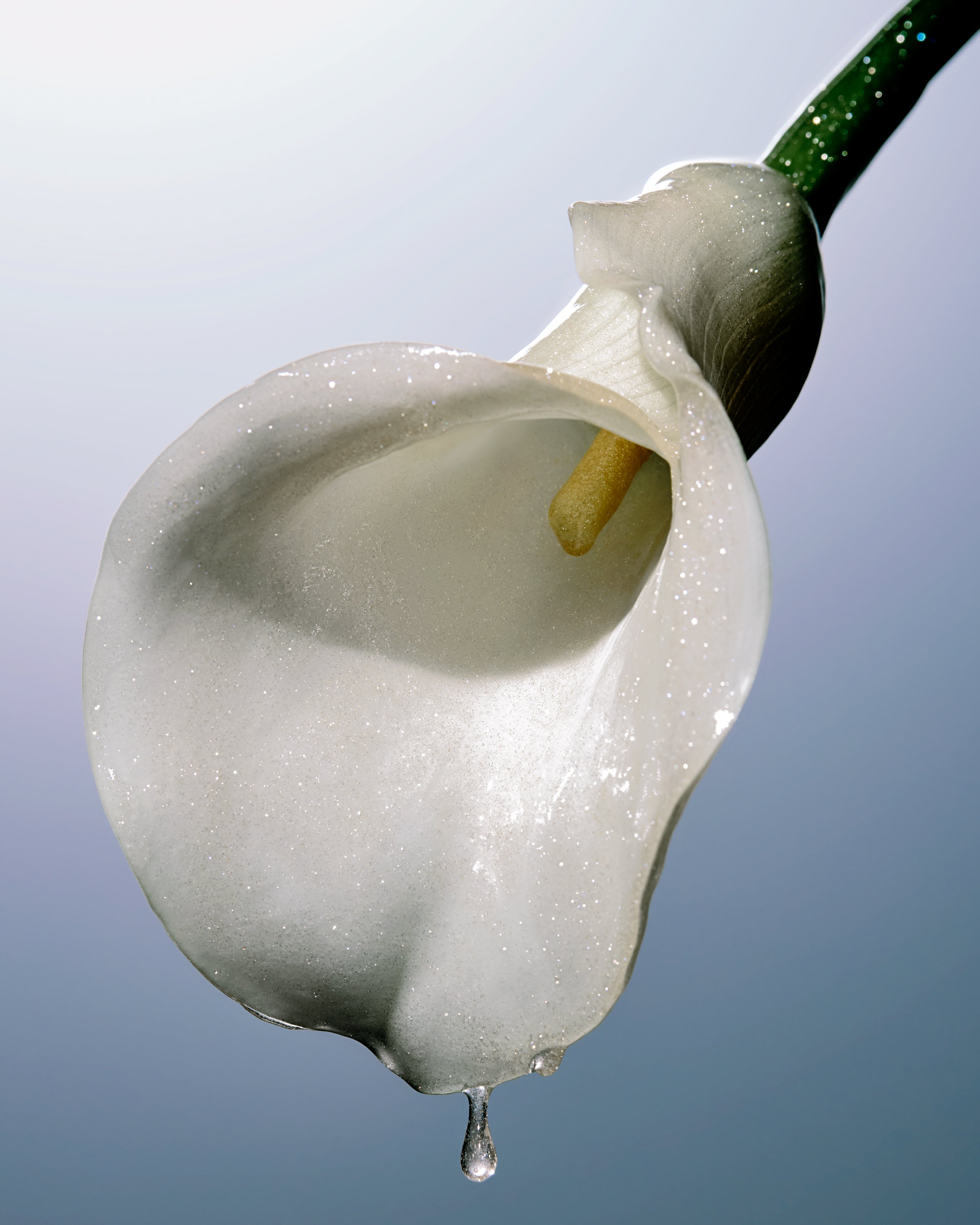 los angeles product photographer swatch smear skincare cream lotion still life self tanner glitter photography