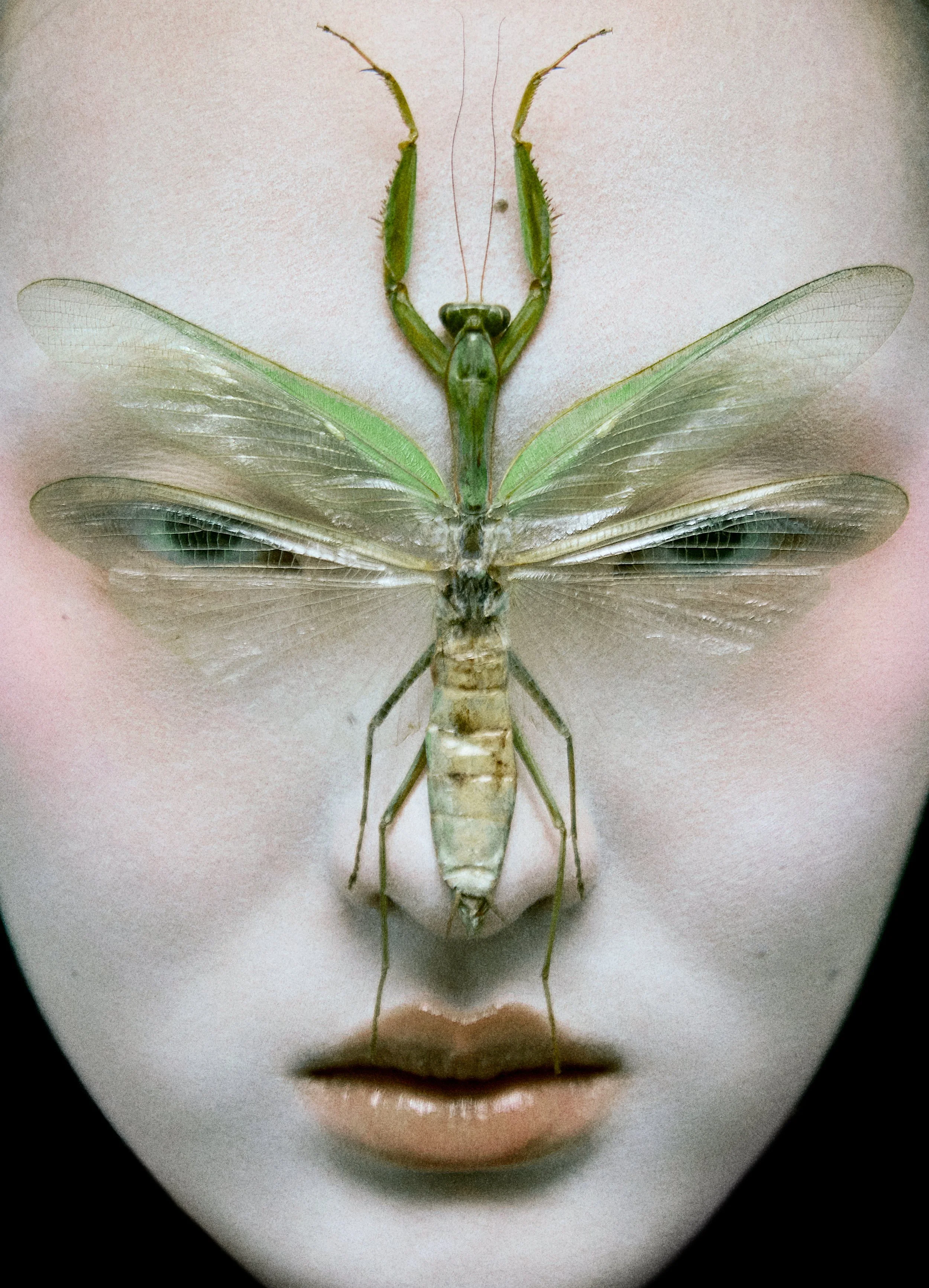 beauty-photography-praying-mantis-bug-green-makeup-cosmetics-pale-asian-annie-los-angeles-new-york.jpg