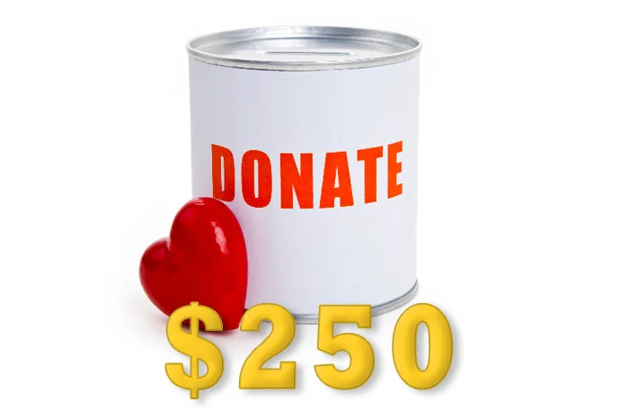 Donate $250
