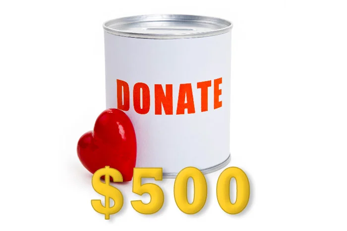 Donate $500
