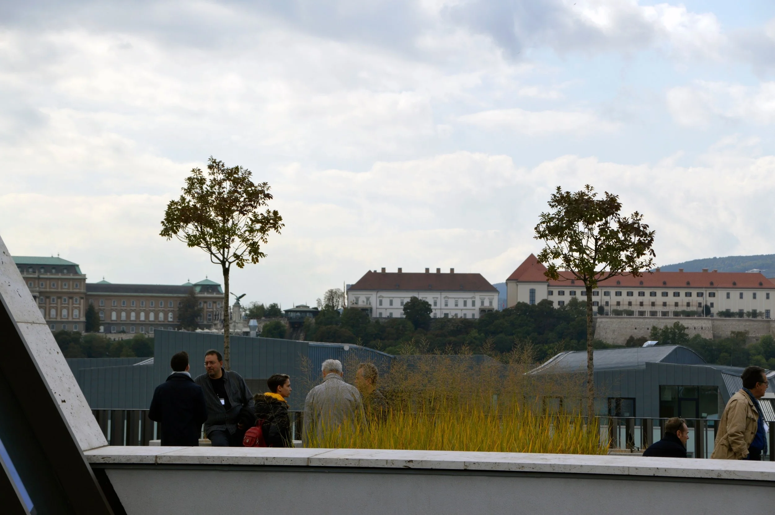 _DSC0136.jpg