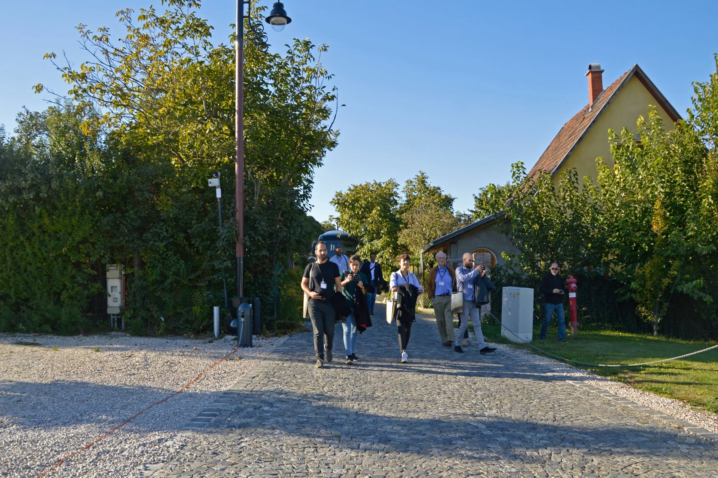 _DSC0902.jpg