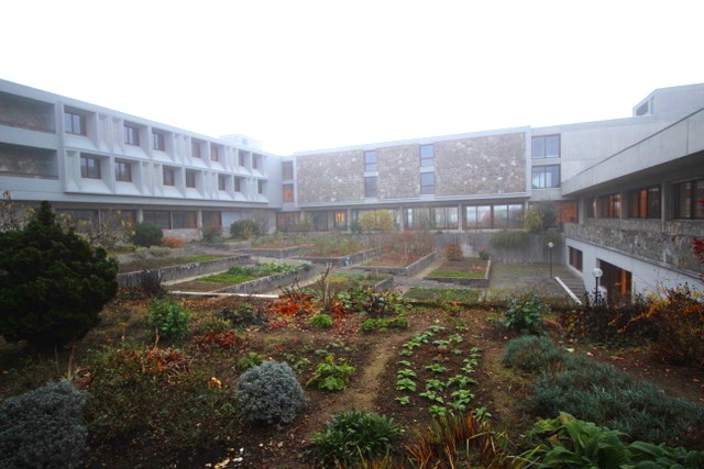 Baldegg_181122 (11) (1).jpeg