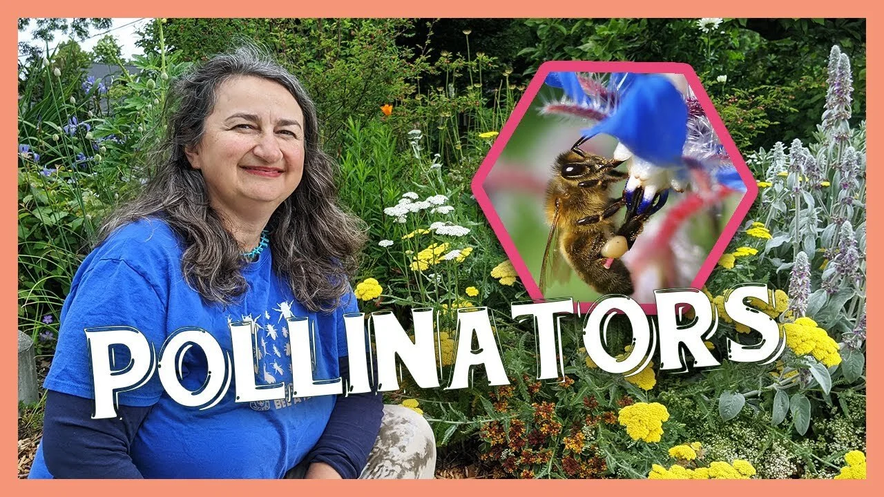 Learn About Pollinators