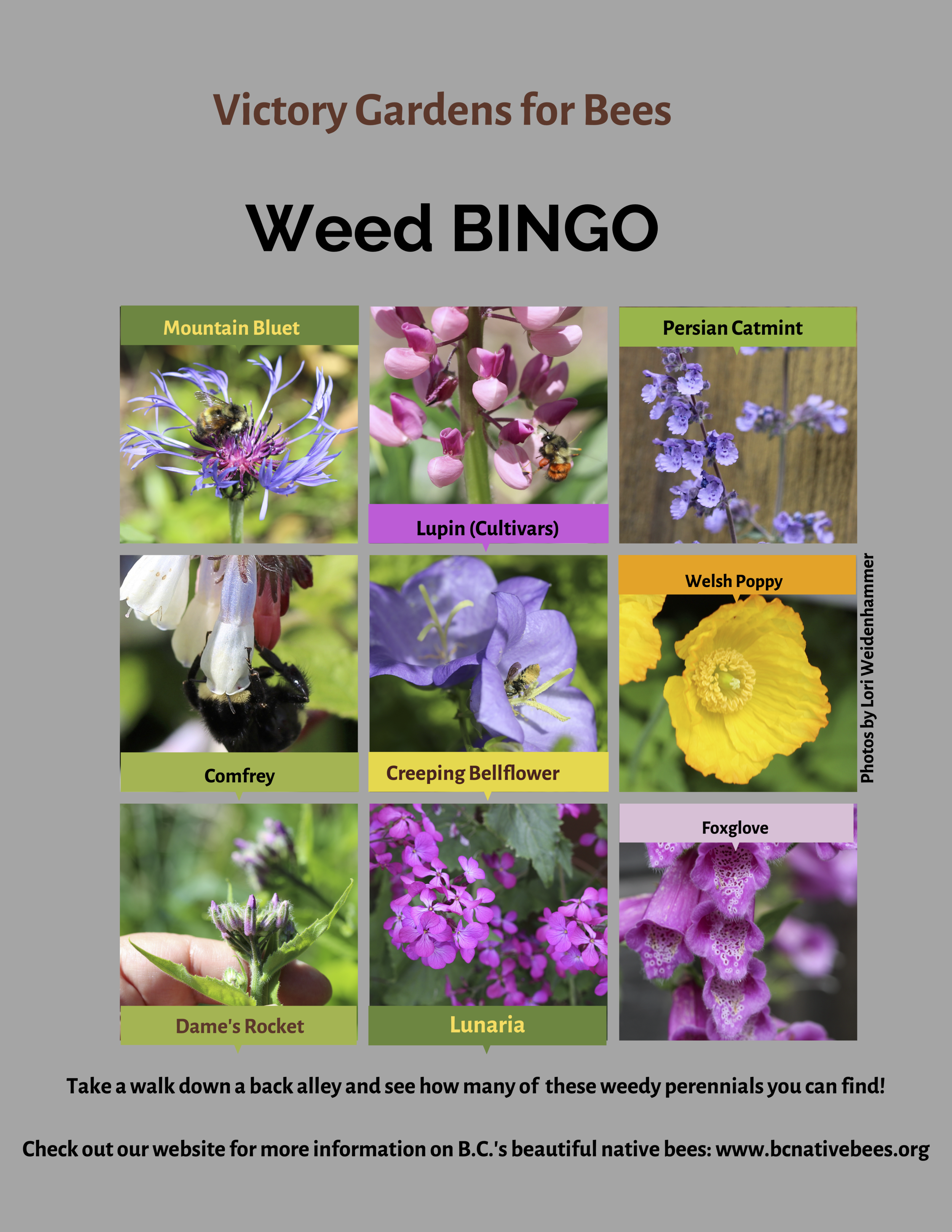 weed1.png