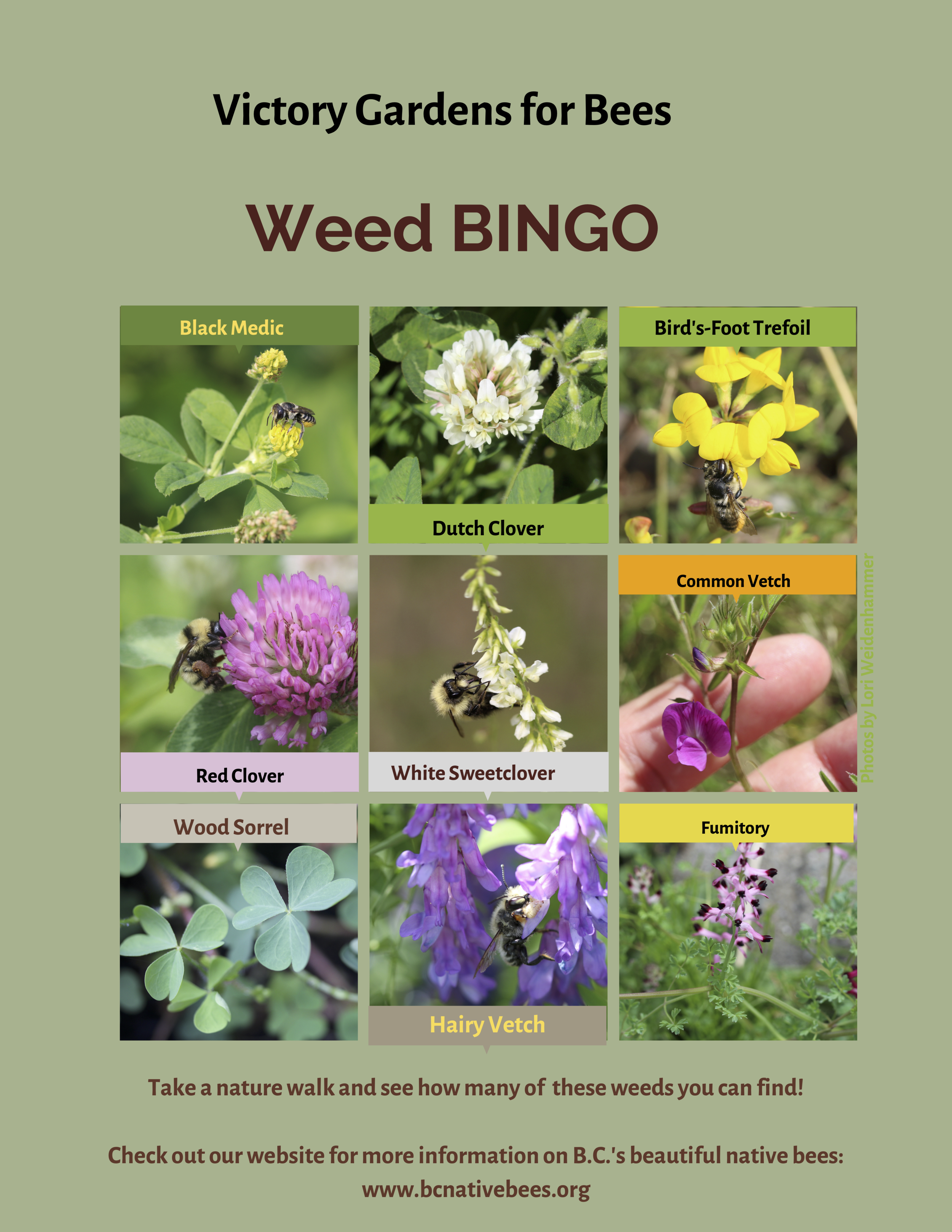 Weed2.png