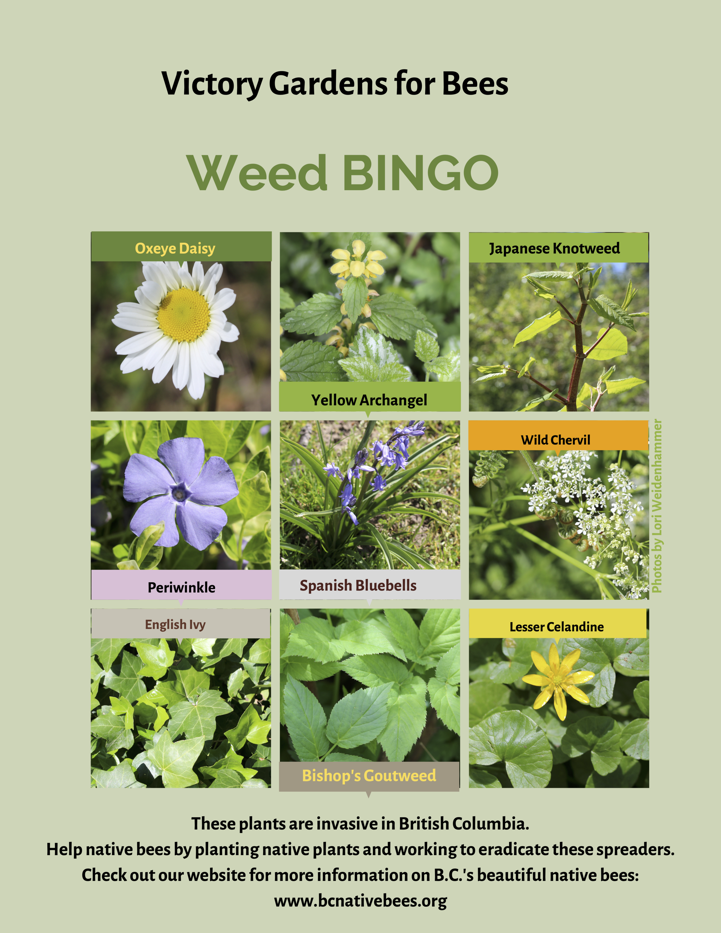 Weed3.png