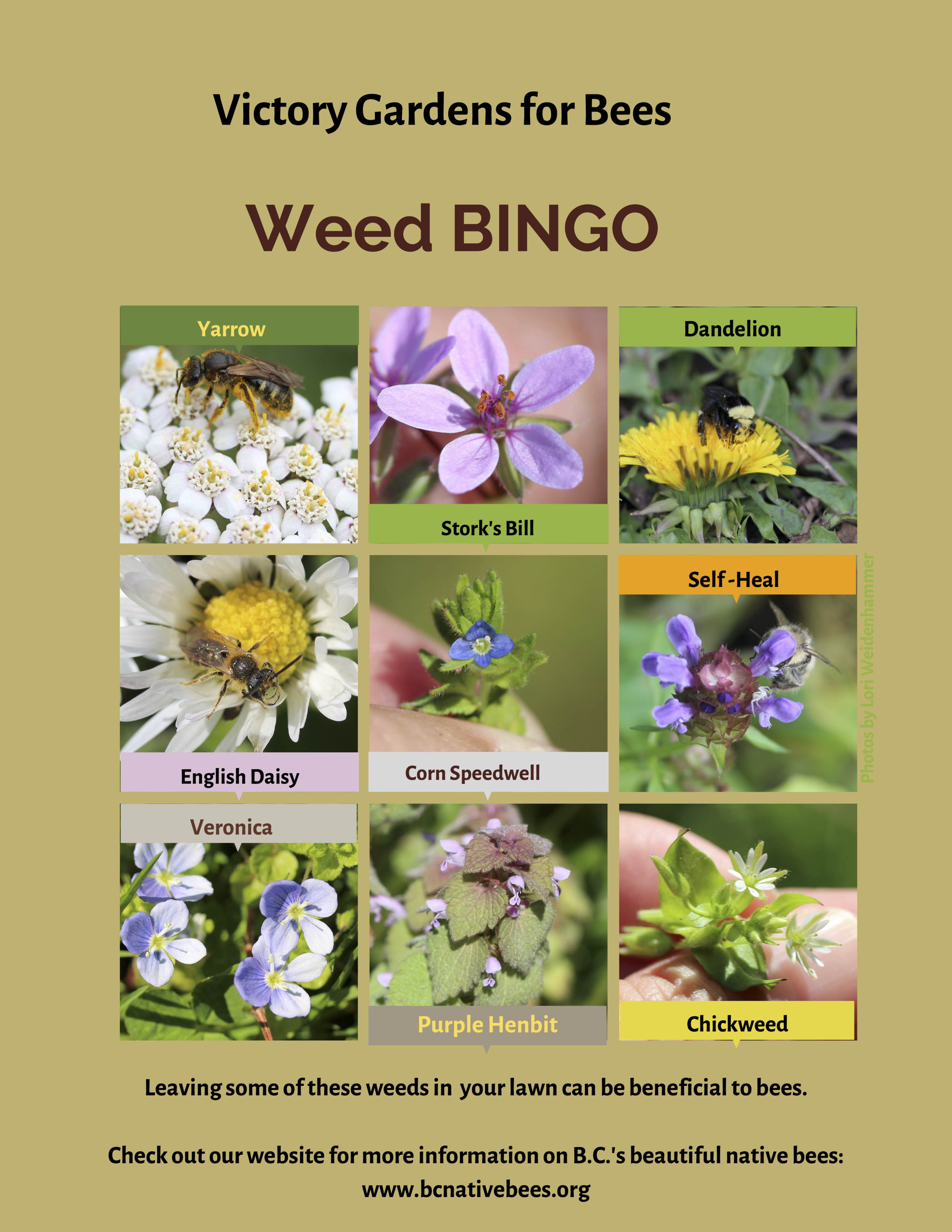 weed5.png