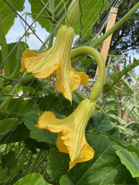 image1.jpeg