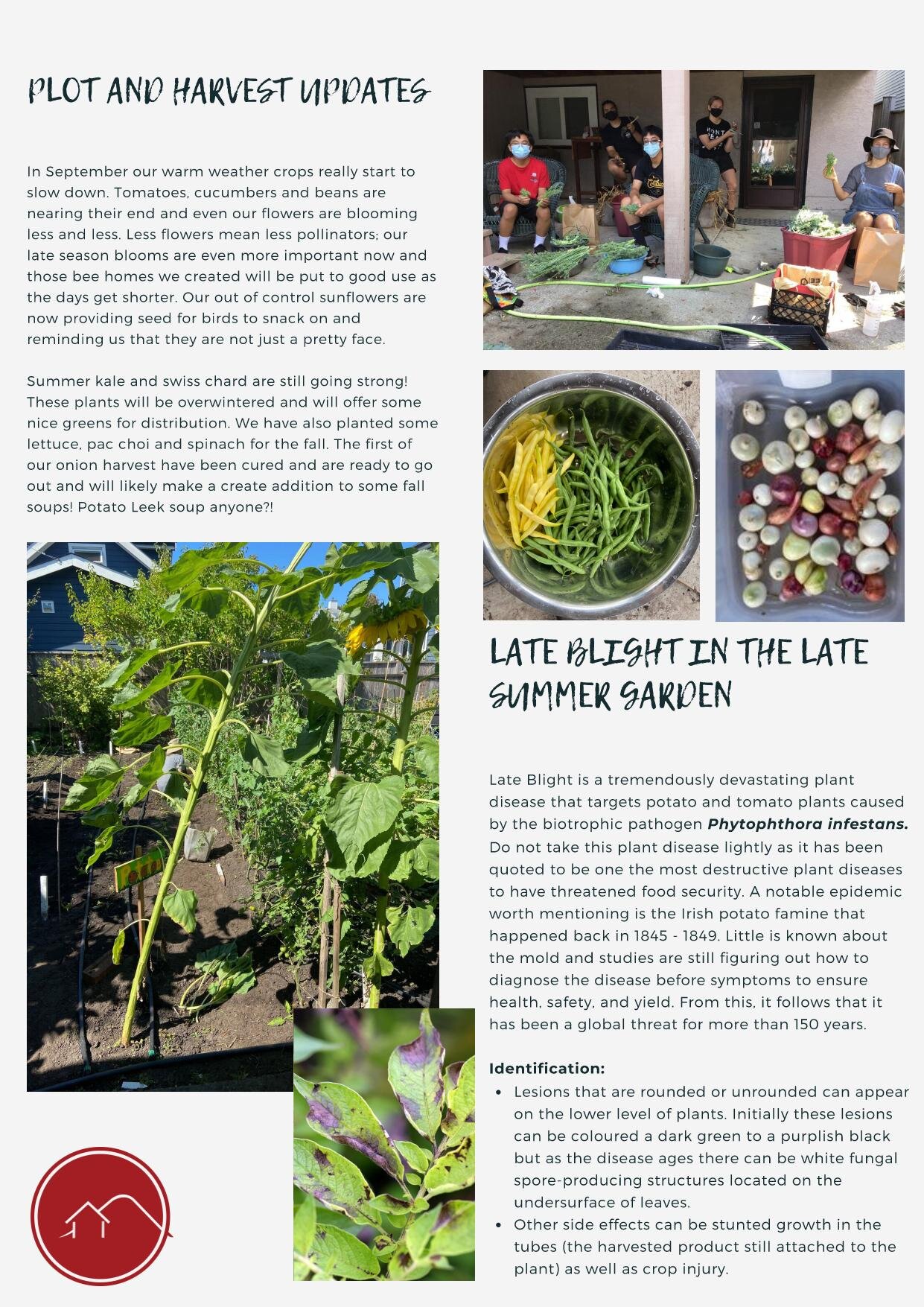 Yard Garden Harvest Newsletter August 22 - September 14 2.jpeg