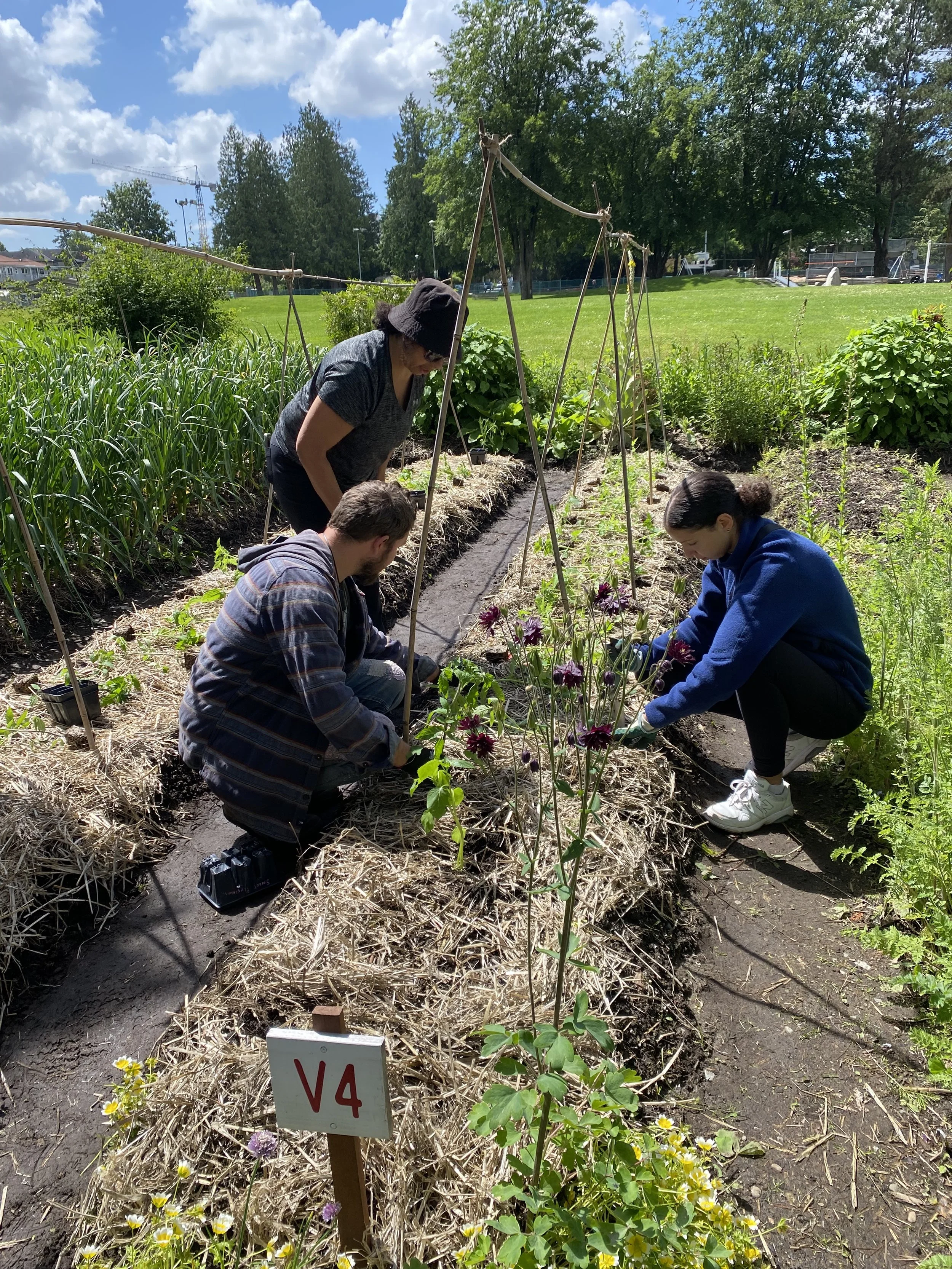 26/05/2024 - 01/06/2024: This Week at the Garden 🪴