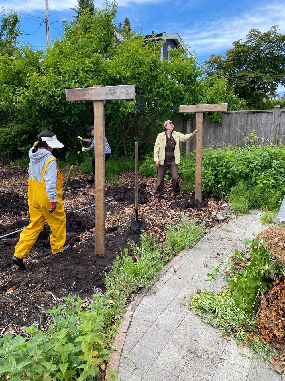  Setting up tomato trellices 