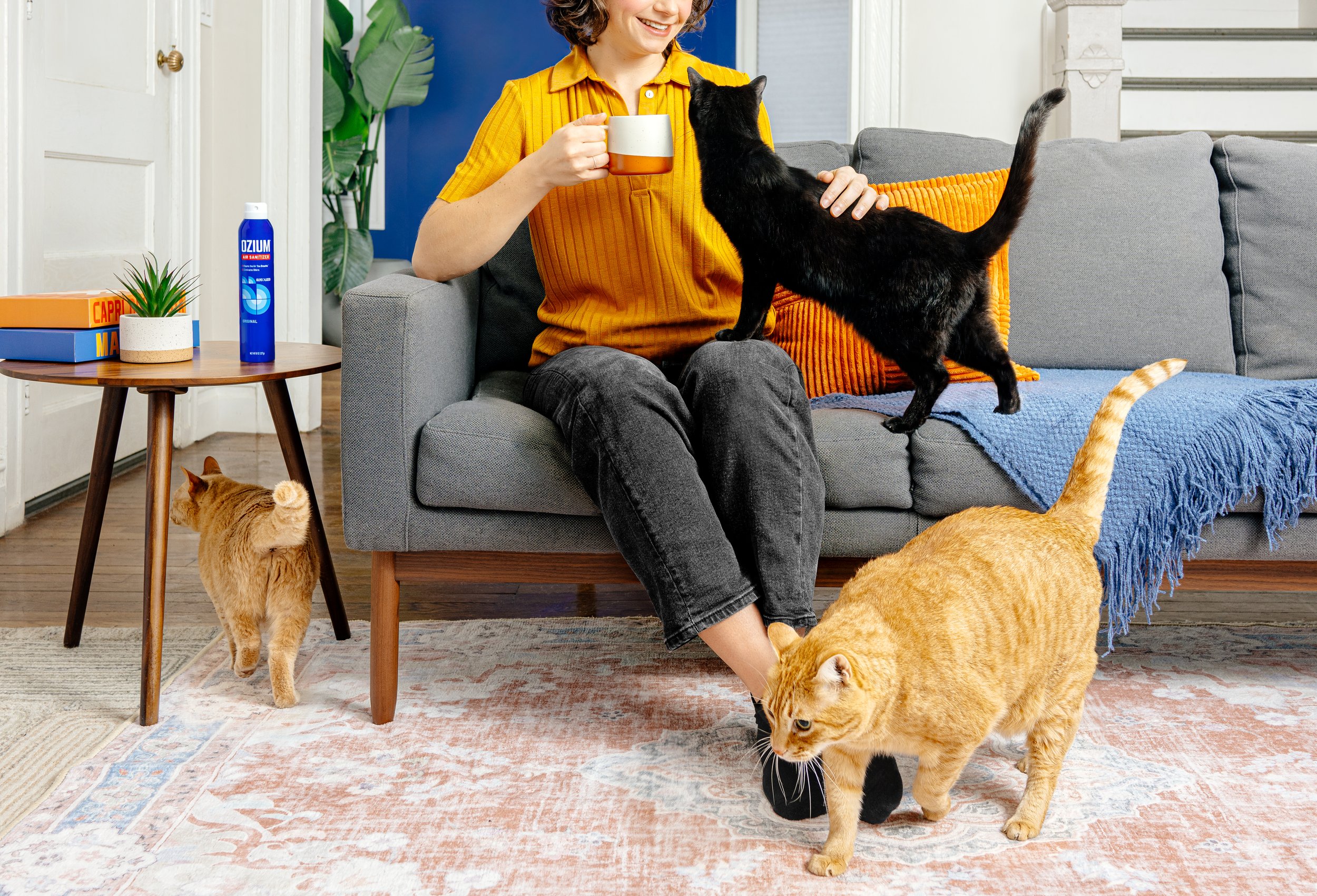 Ozium_LivingRoom_Lifestyle_20240216.jpg
