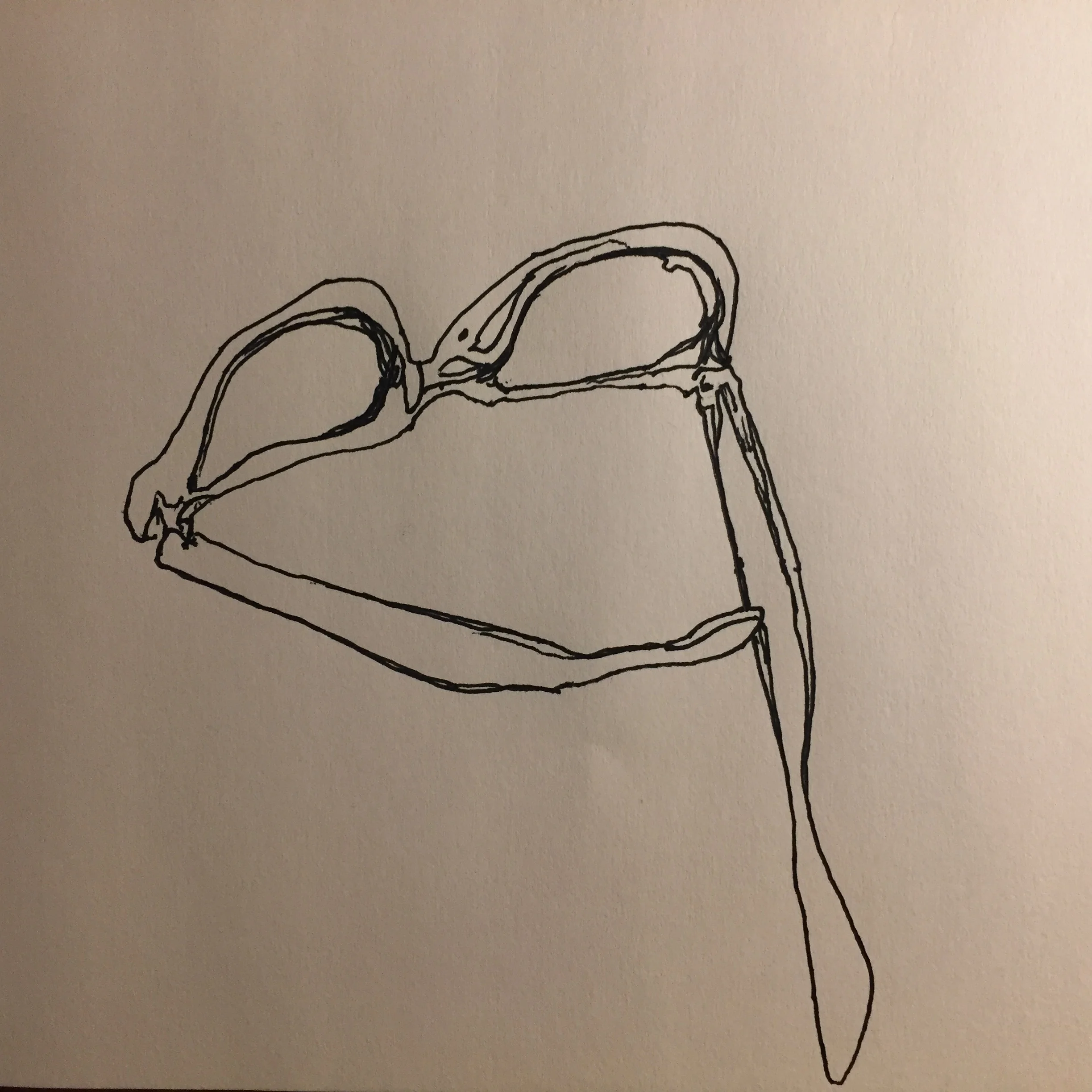 The Other side of the lens, Warren Holt