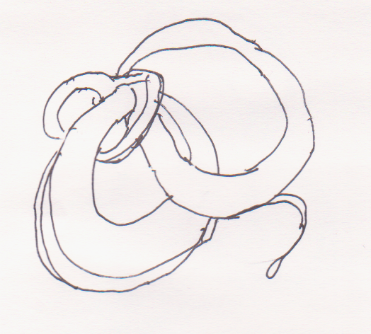 Borromean Rings Unraveling, Warren Holt