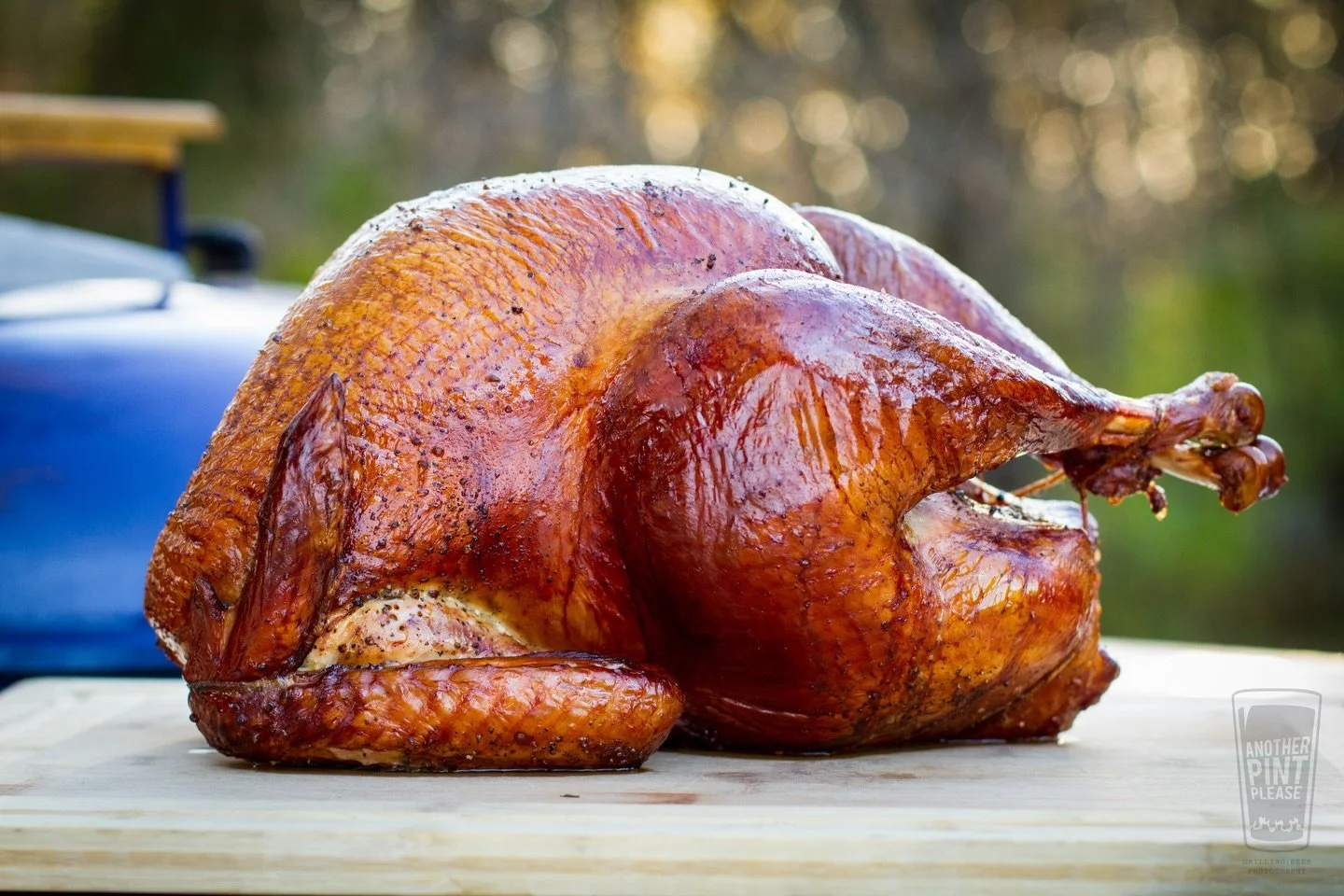 Happy Thanksgiving, Friends! I hope your day is second to none. I'm guessing you are grilling turkey, right?! If so, what's your favorite way?!

Tonight, I'm going traditional grilled!