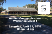 Animal Communication Workshop Level 1