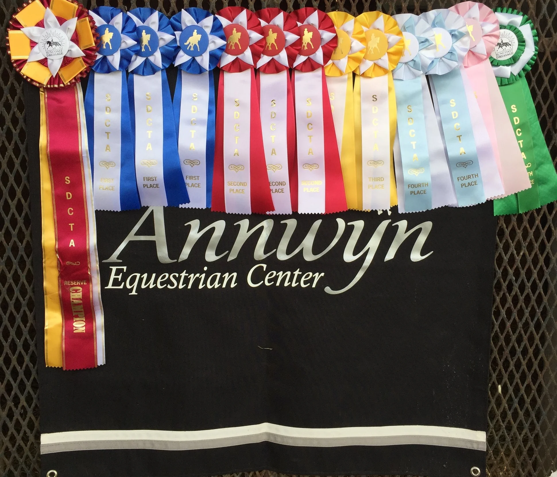 Dressage Among Friends I & II Results