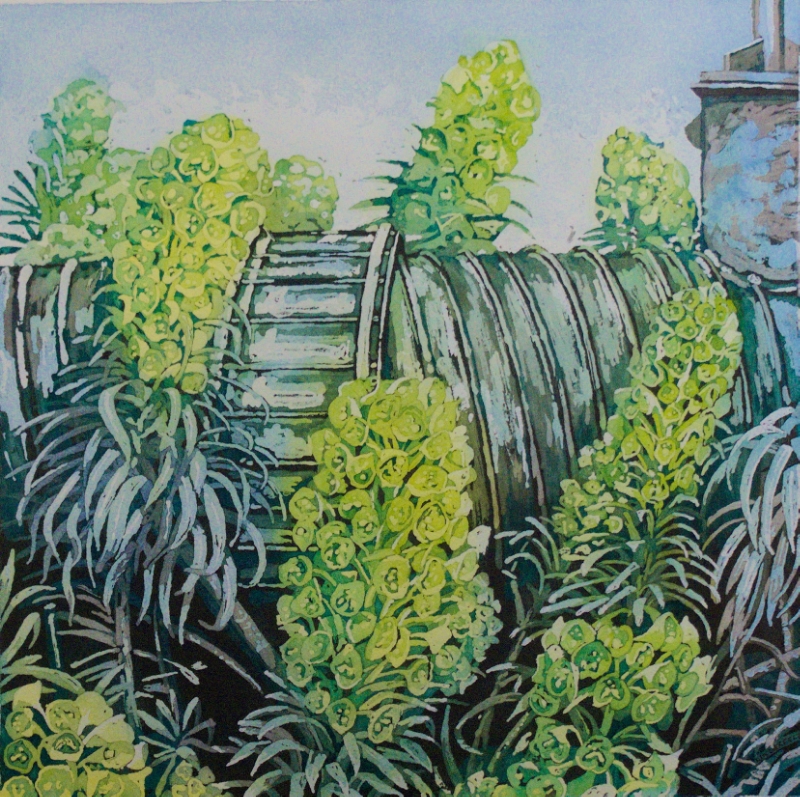 Euphorbia pipeline 12x12" watercolor 2016 sold