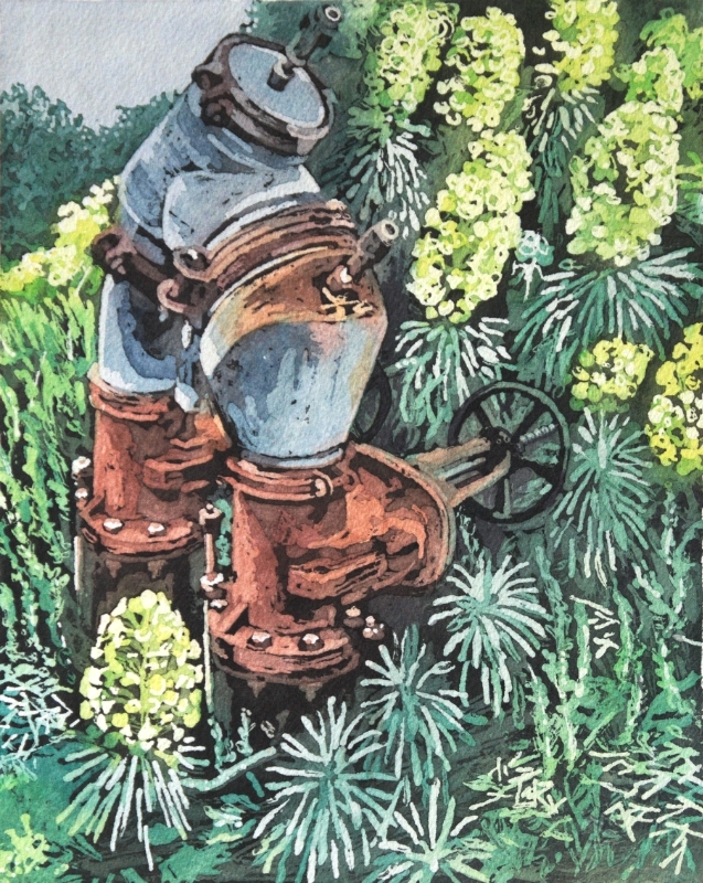 euphorbia pipeline II 8x10 2016