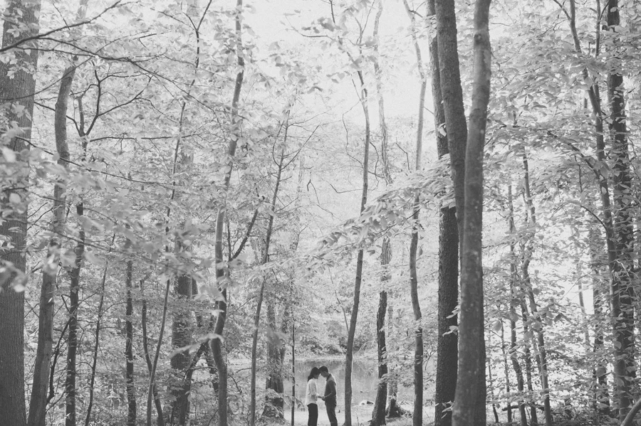 2013-bw-update-3.jpg