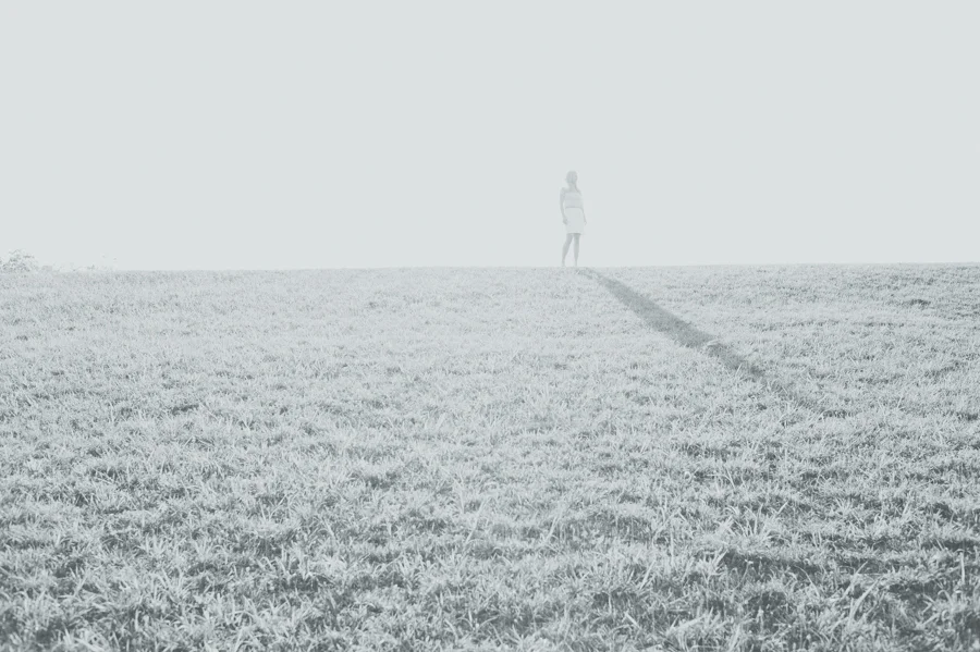 2013-bw-update-9.jpg
