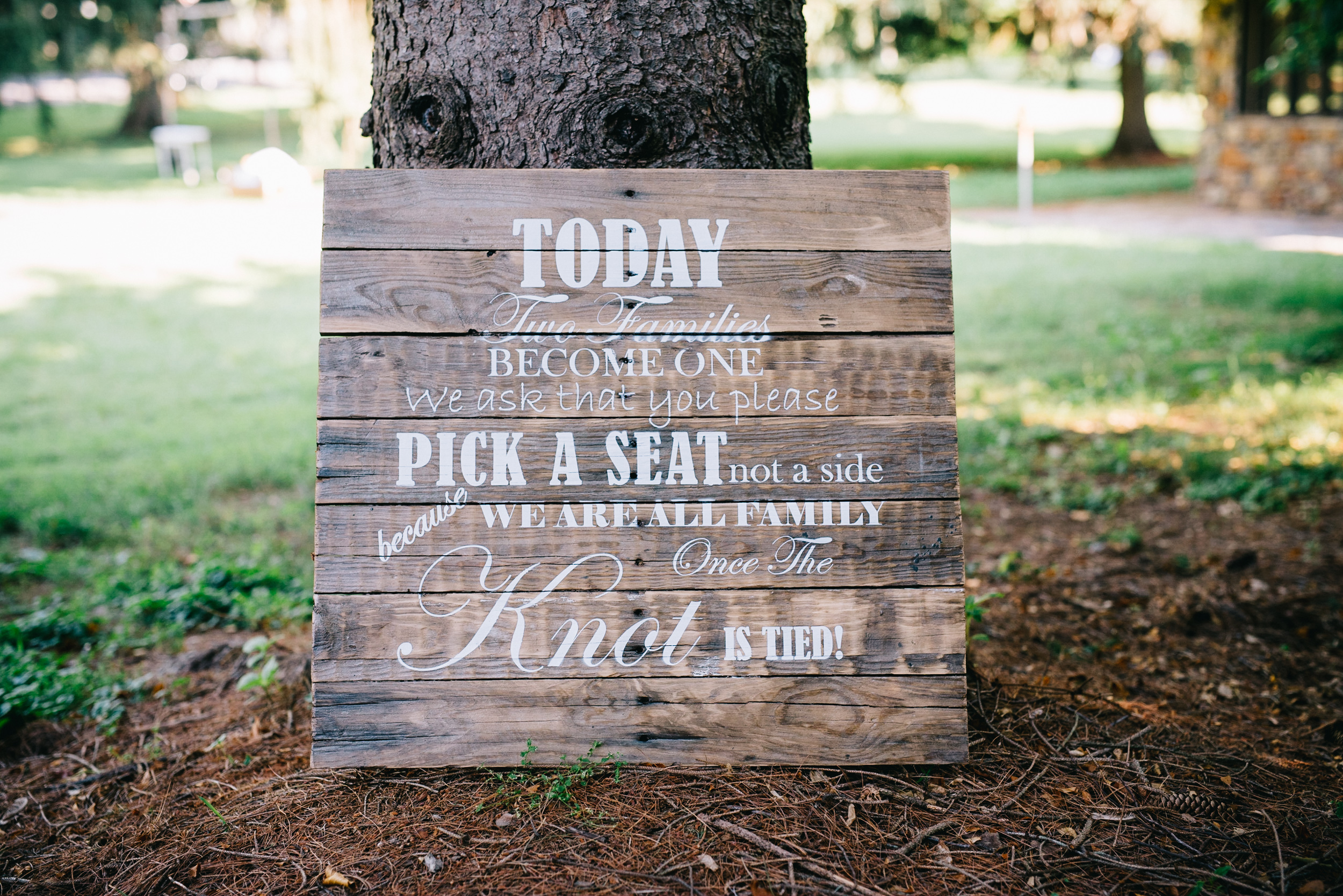robert stephanie arlie warrenton brunch wedding-29.jpg