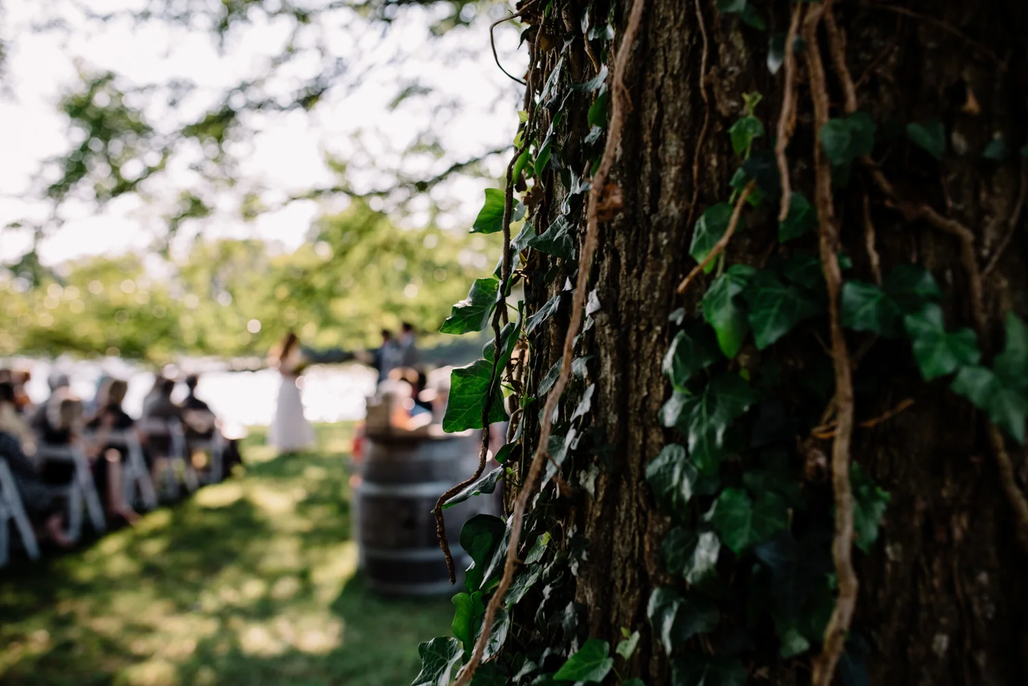 woodlawn-farm-summer-maryland-wedding-43.jpg