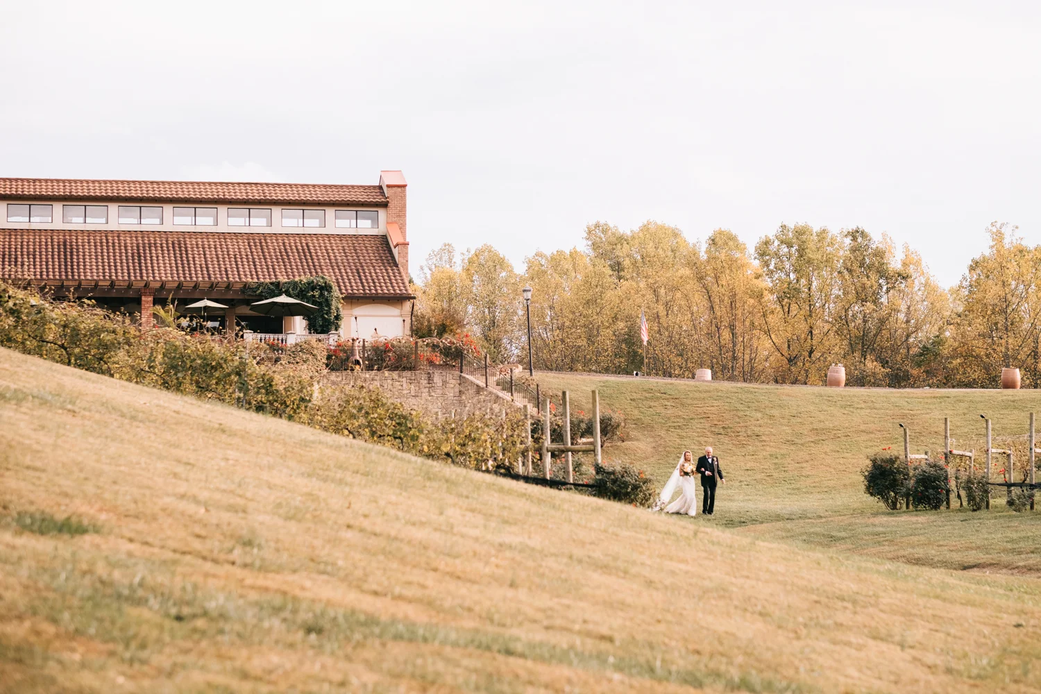 potomac point winery wedding-27.jpg