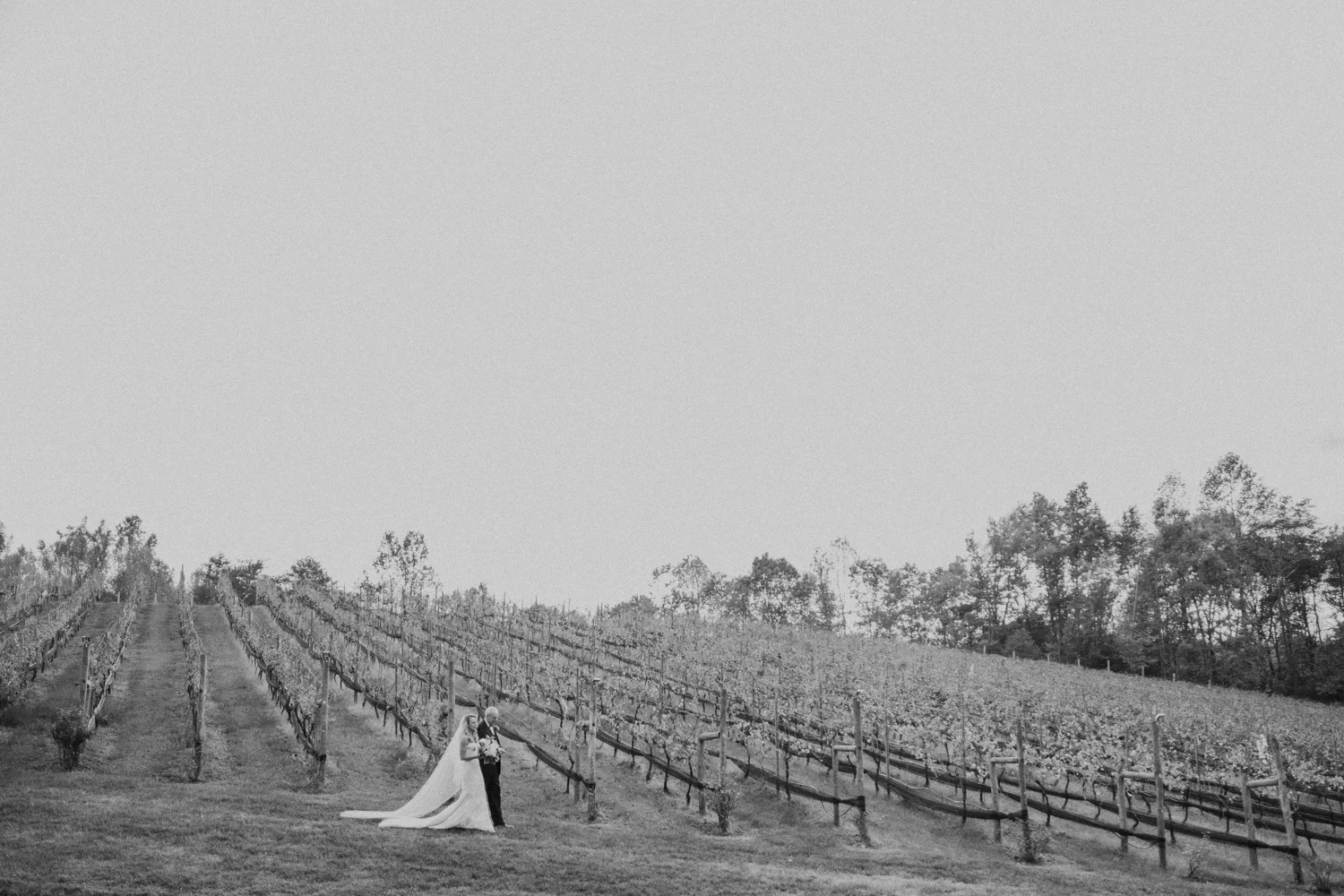 potomac point winery wedding-29.jpg