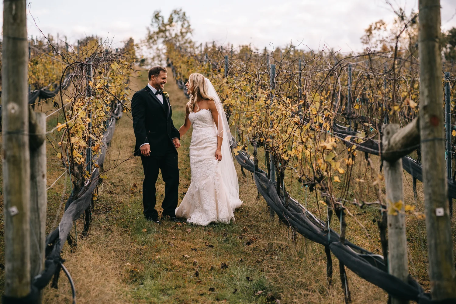 potomac point winery wedding-50.jpg