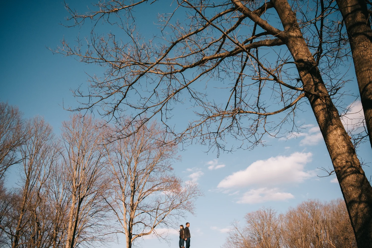 meadowlark-engagement-session-37.jpg