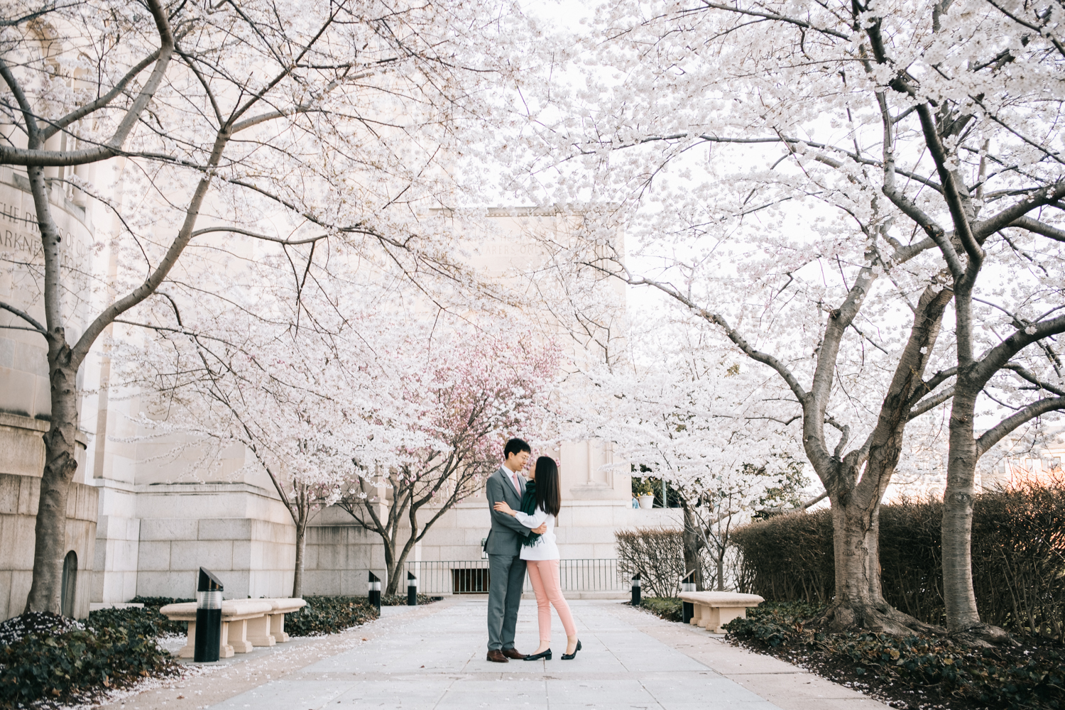 National Shrine Cherry Blossoms Engagement