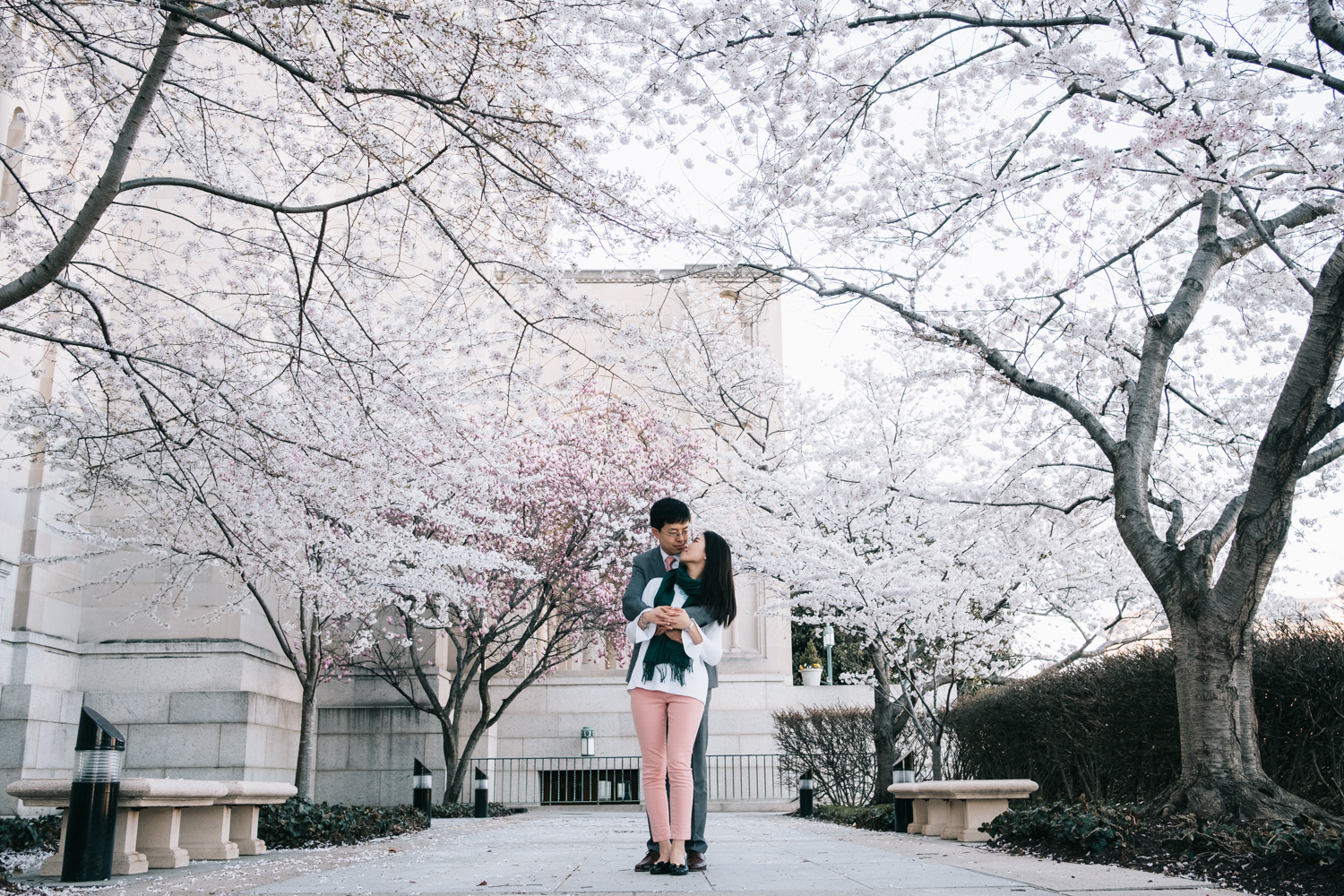 washington dc cherry blossoms engagement session-4.jpg