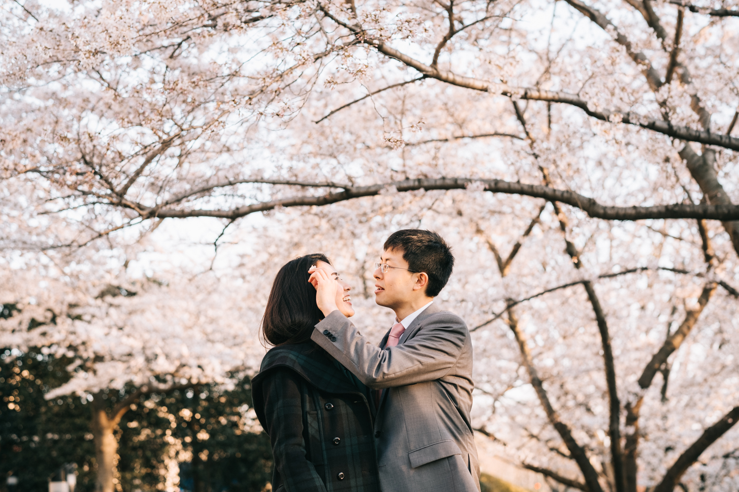 washington dc cherry blossoms engagement session-18.jpg