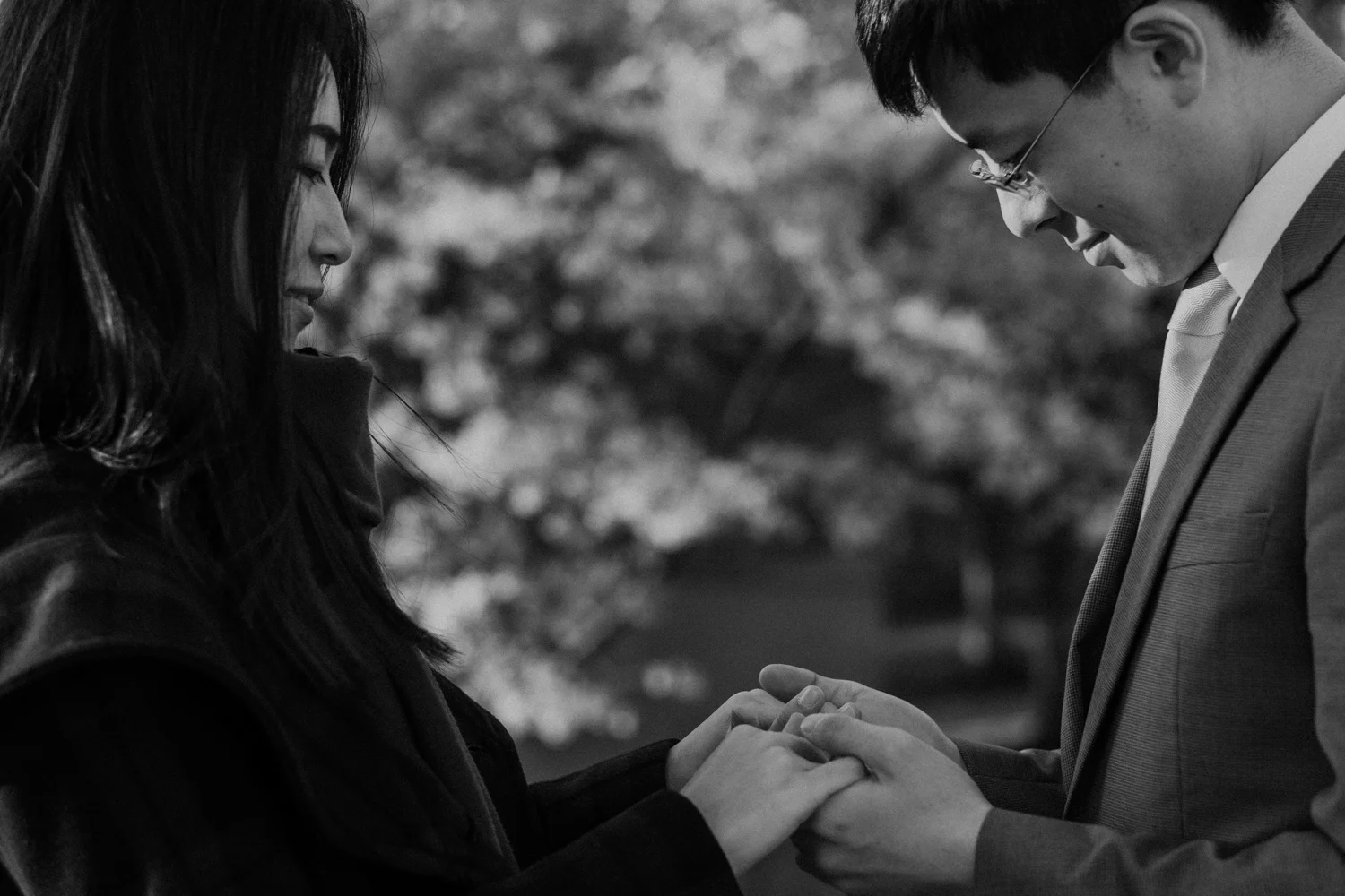 washington dc cherry blossoms engagement session-23.jpg