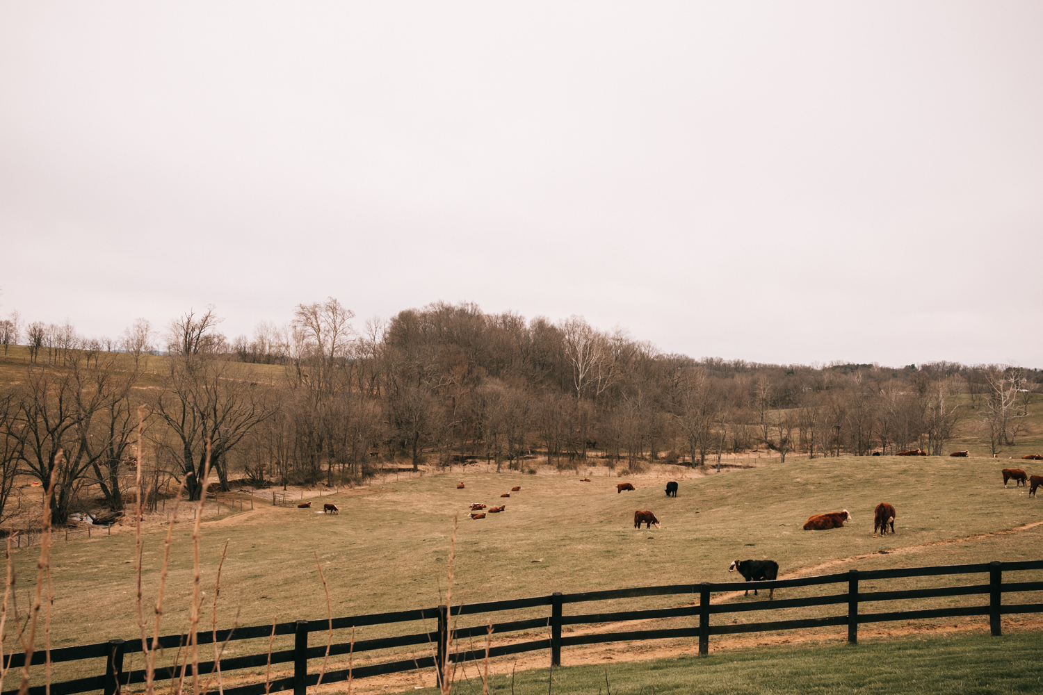 Shadow Creek Farm Wedding