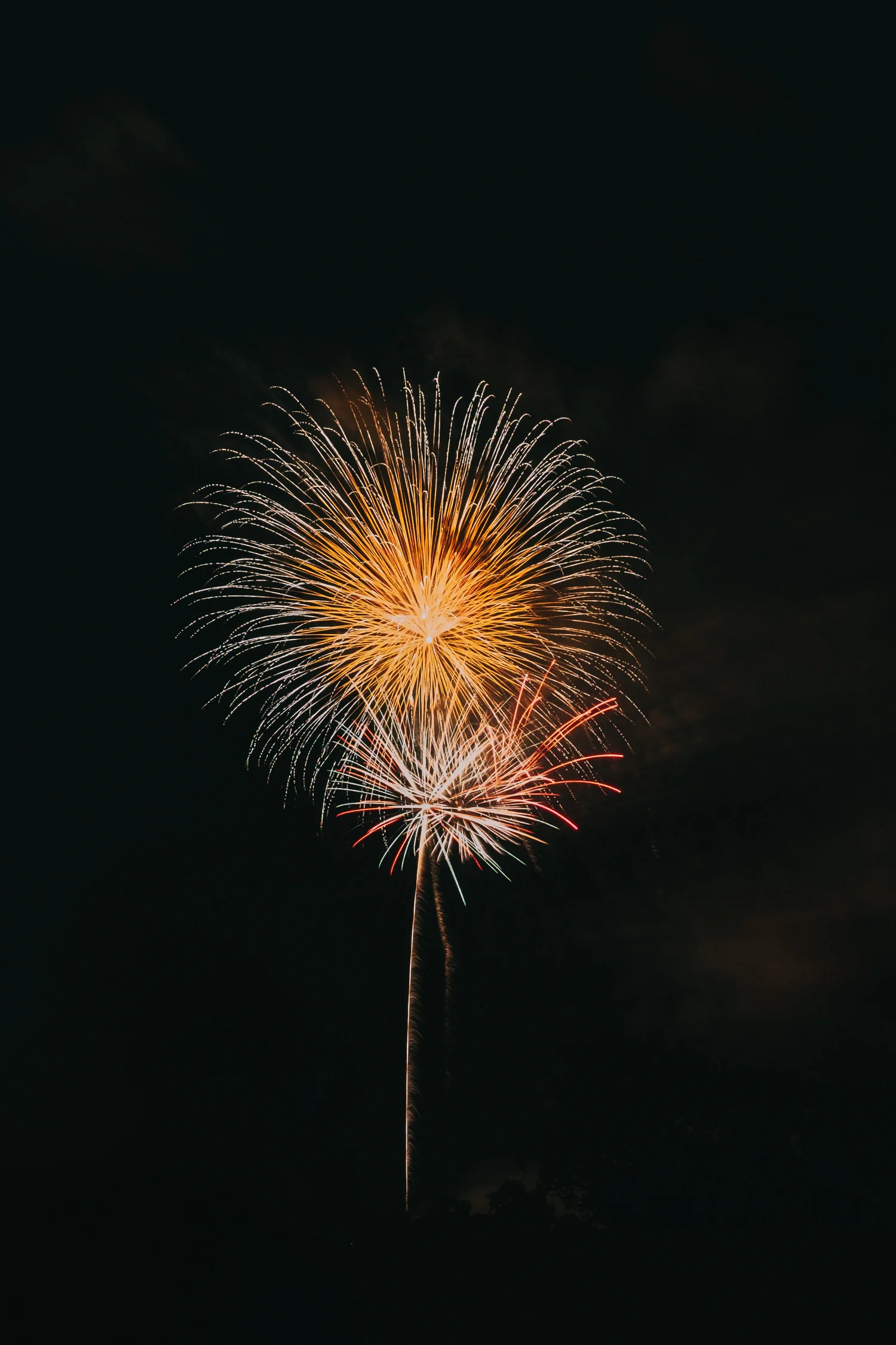 Leesburg VA Ida Lee Fireworks-5.jpg
