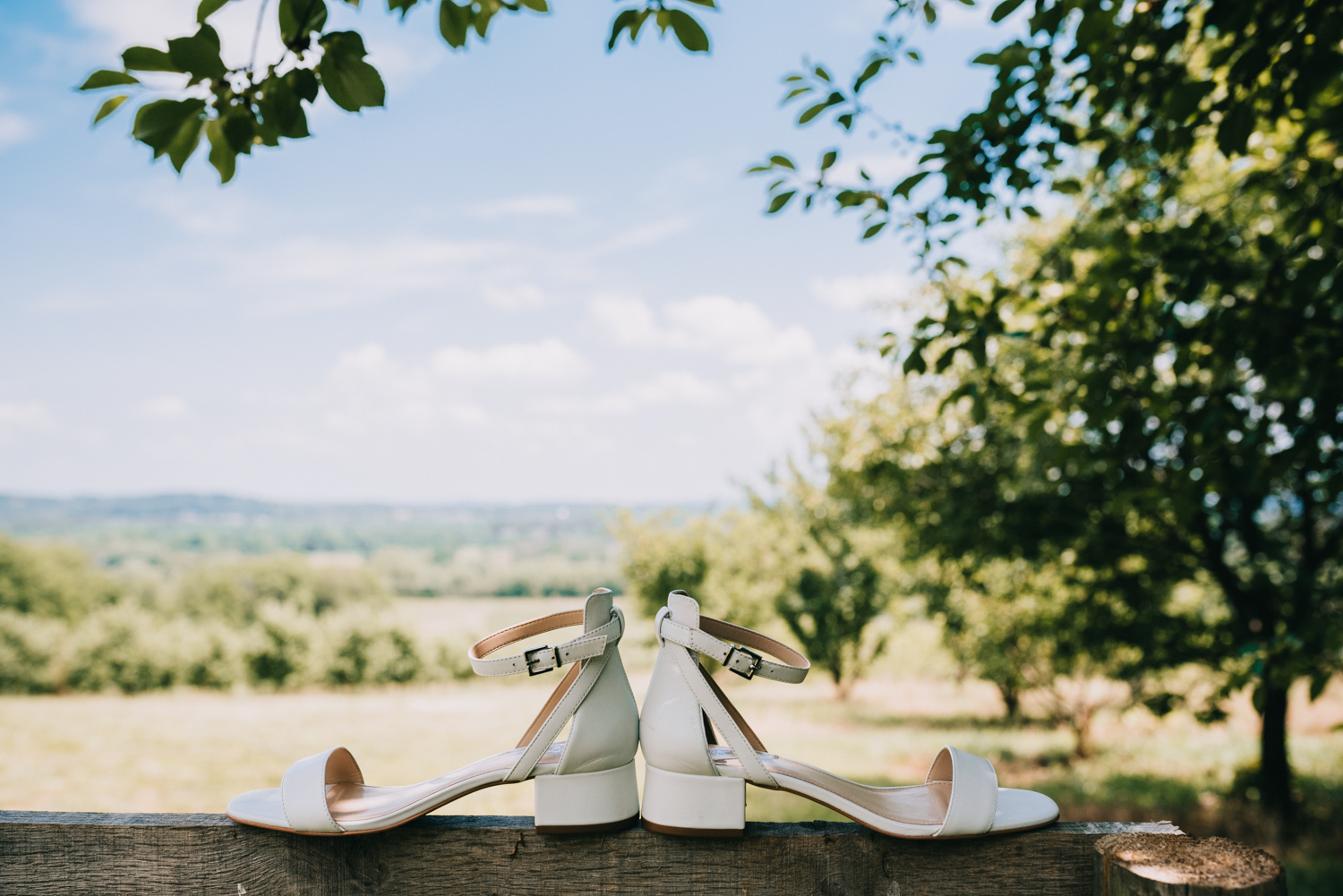 Bluemont Virginia wedding shoes detail inspiration