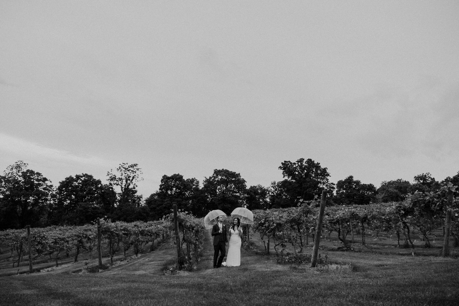 dark and moody vineyard wedding on a rainy day bluemont va