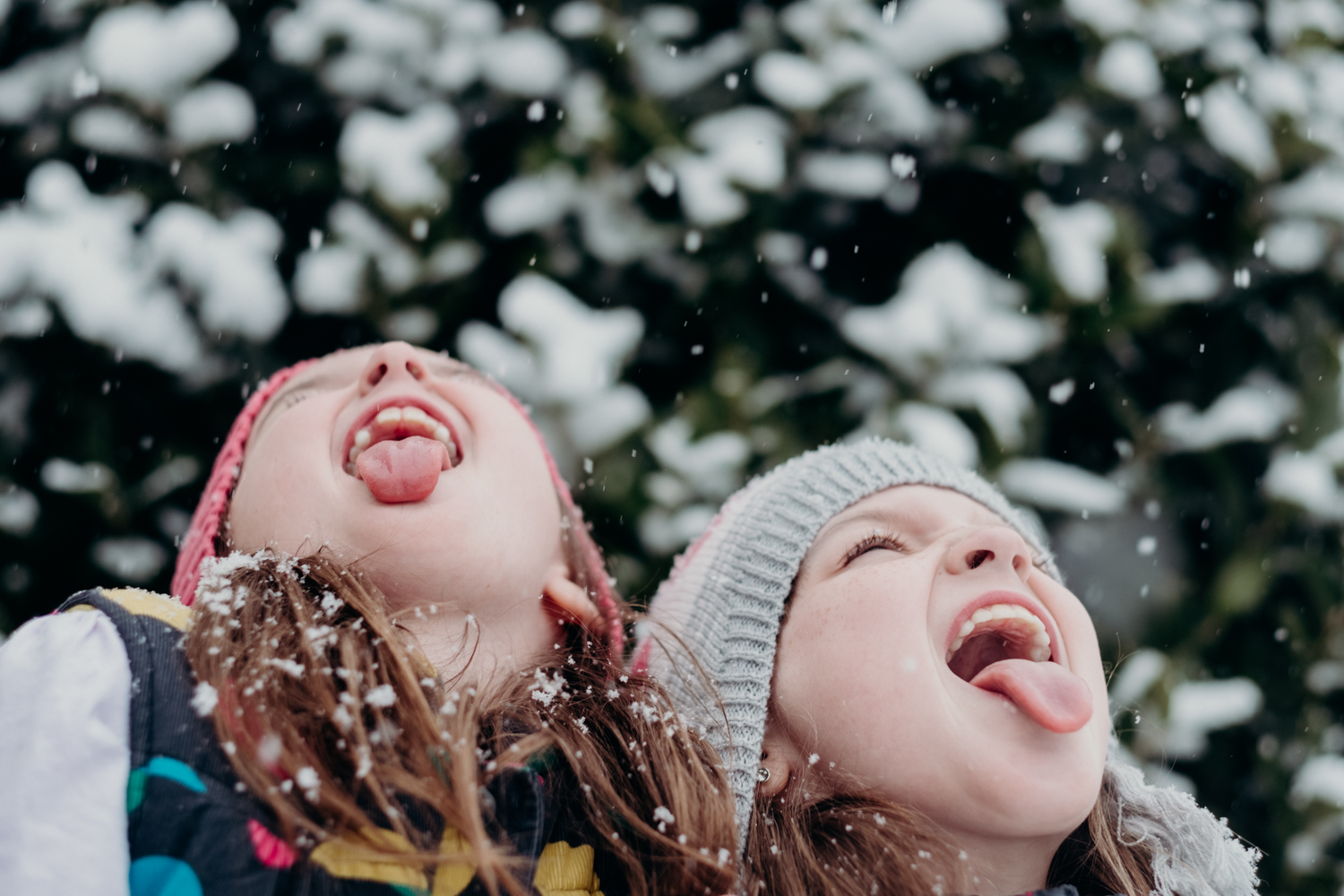 sisters and snow-13.jpg