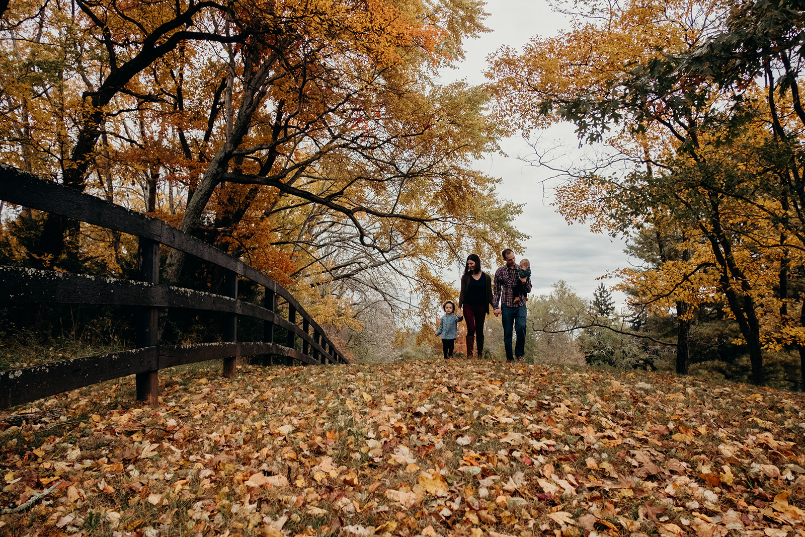 A family walks through colorful autumn leaves at Morven Park.